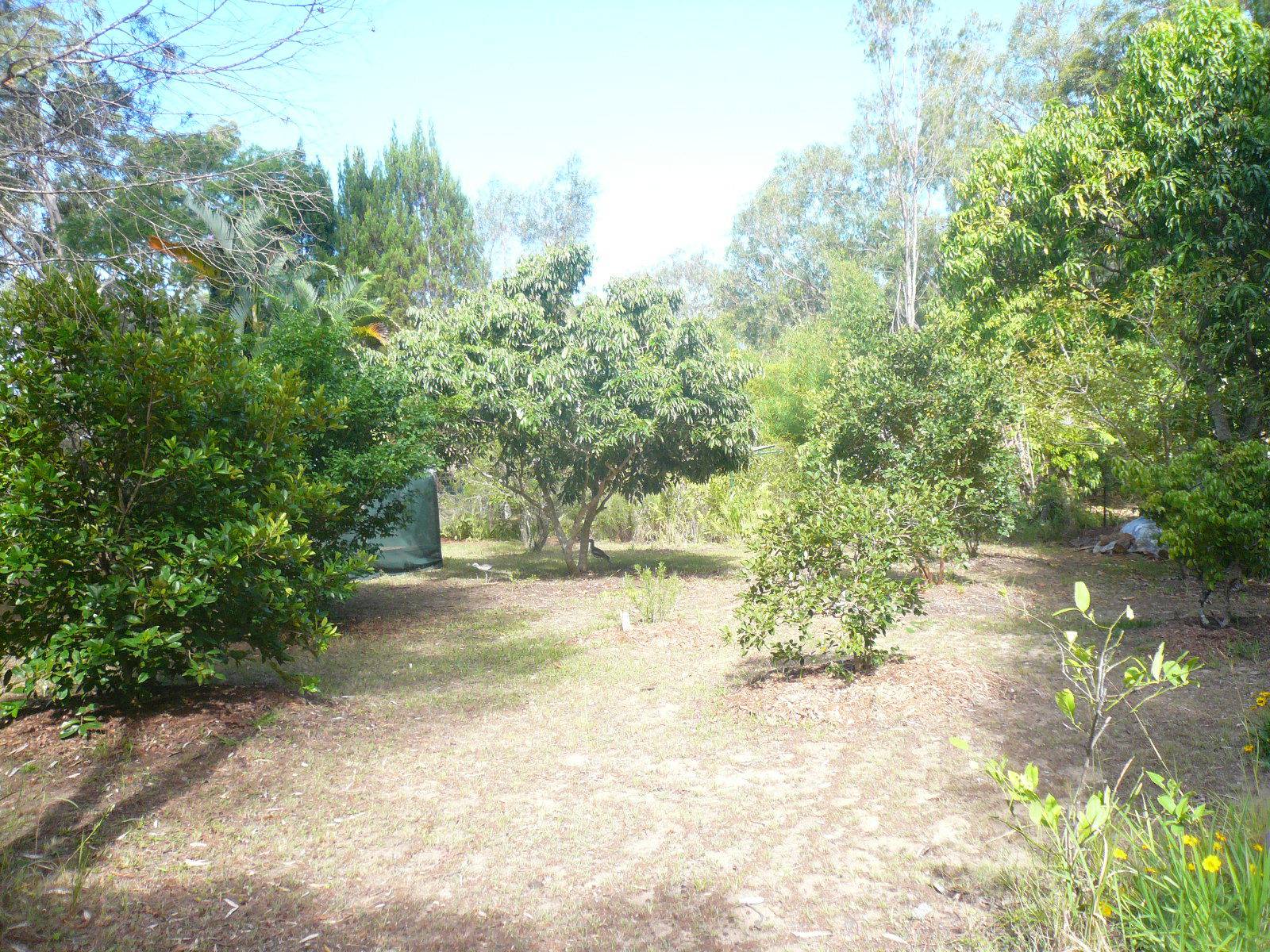 12 Kalara Street, Macleay Island, Macleay Island - Thumbnail 2