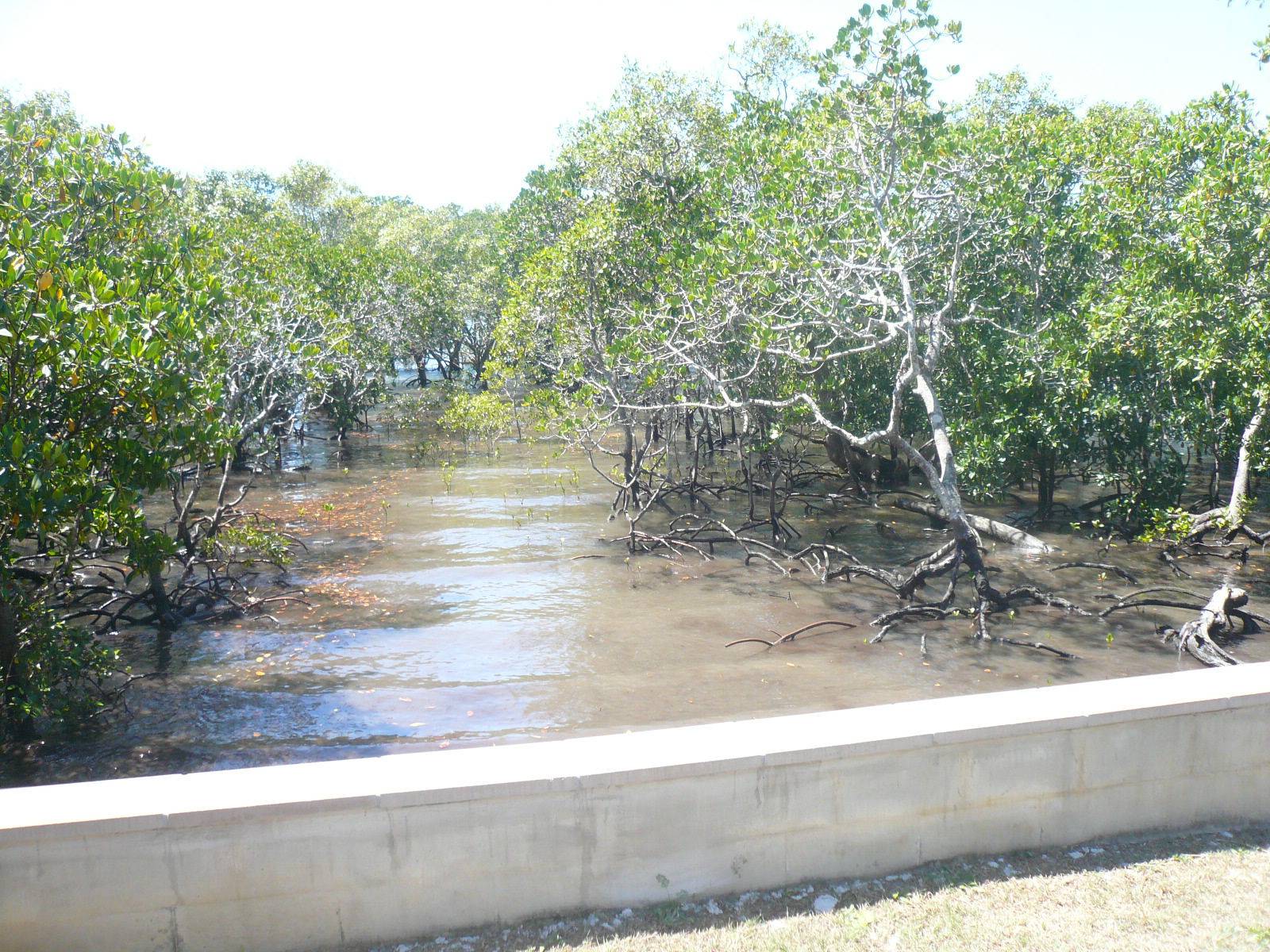 10 Boat Harbour Drive, Macleay Island, Macleay Island - Thumbnail 4