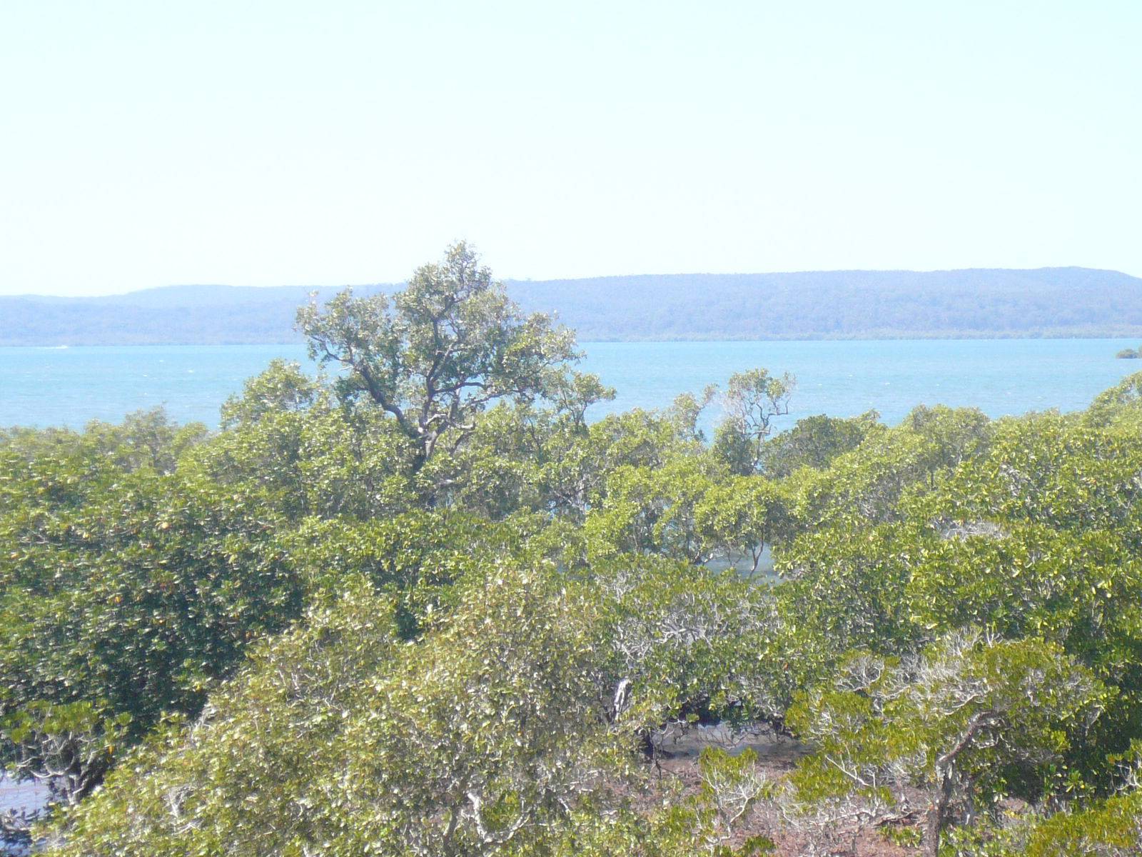 10 Boat Harbour Drive, Macleay Island, Macleay Island - Thumbnail 2