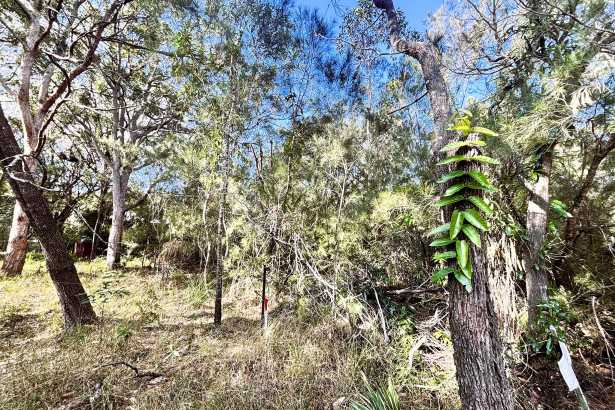 Double the land – Double the opportunity!