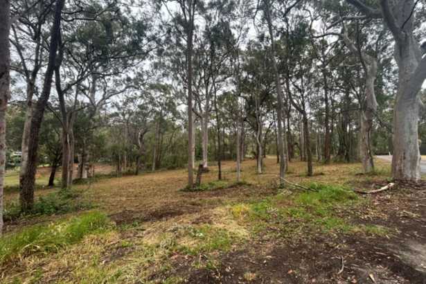 A Rare 4,047m² Corner Block in a Peaceful Location