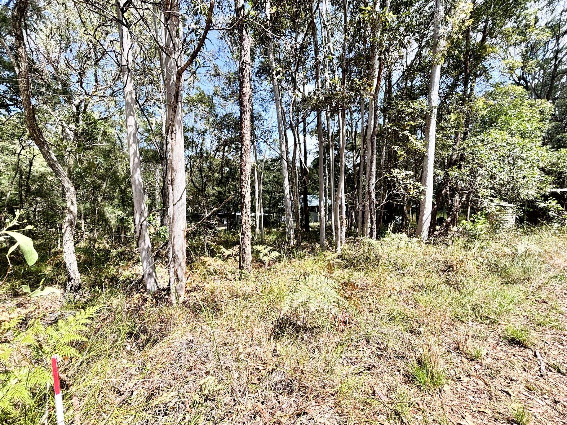 34 Waikiki Beach Road, Russell Island - Image 1
