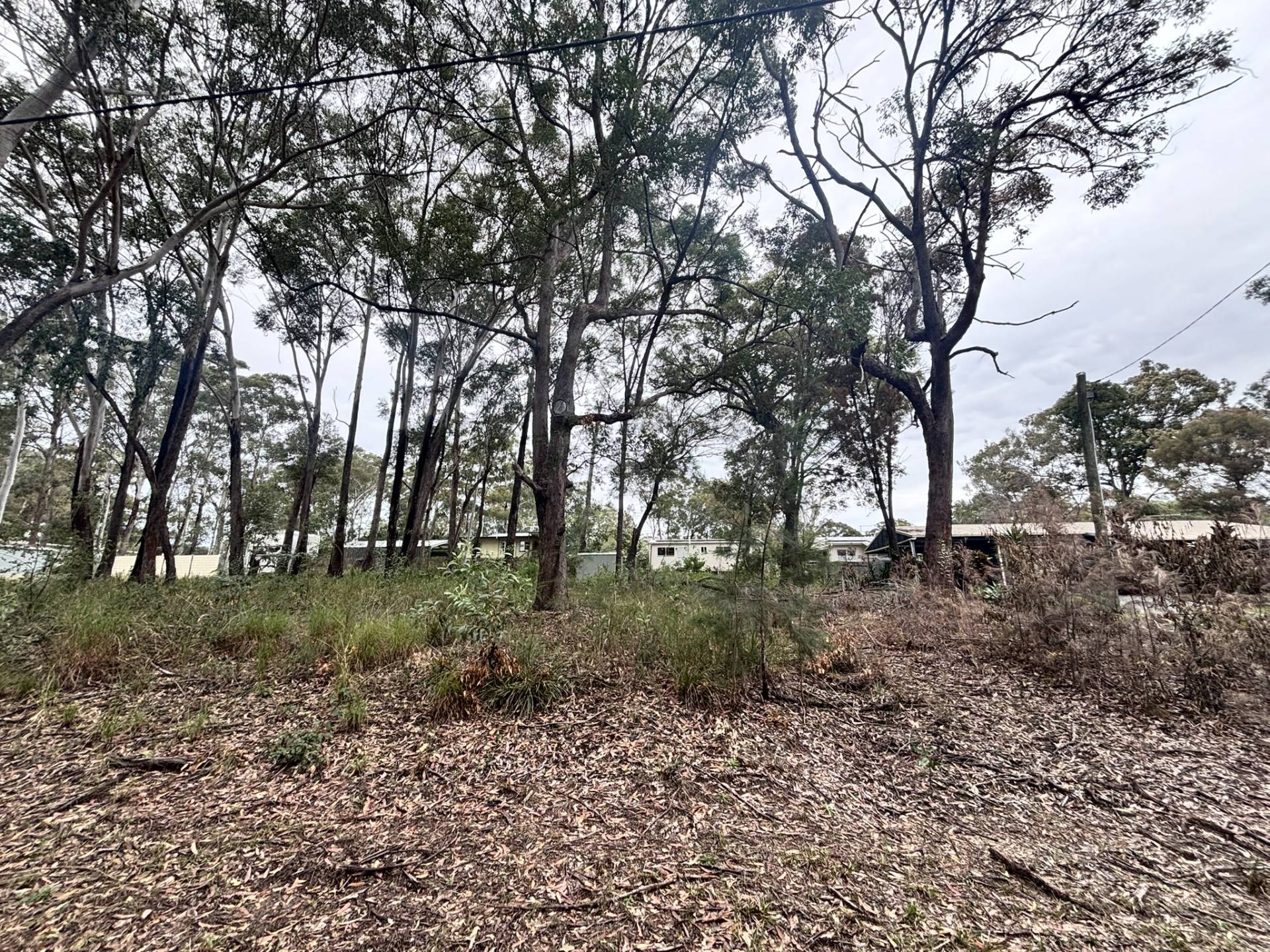 18 Diamond Street, Russell Island - Image 1