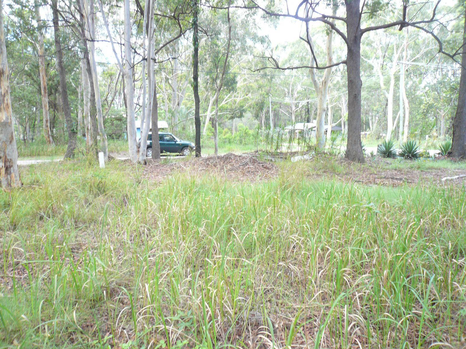 21 Parakeet Street, Macleay Island, Macleay Island - Thumbnail 2