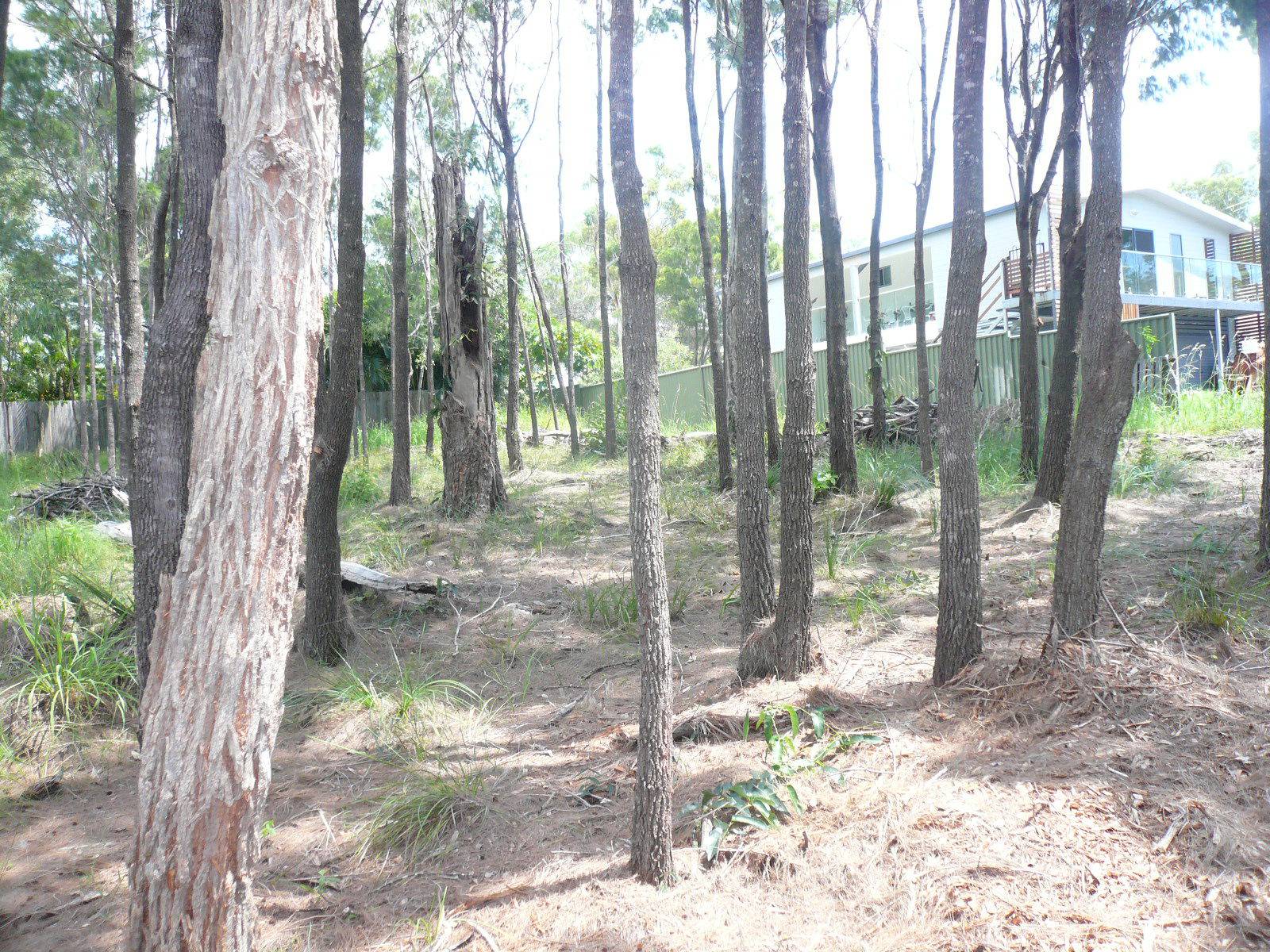 8 Oomool Street, Macleay Island, Macleay Island - Thumbnail 2