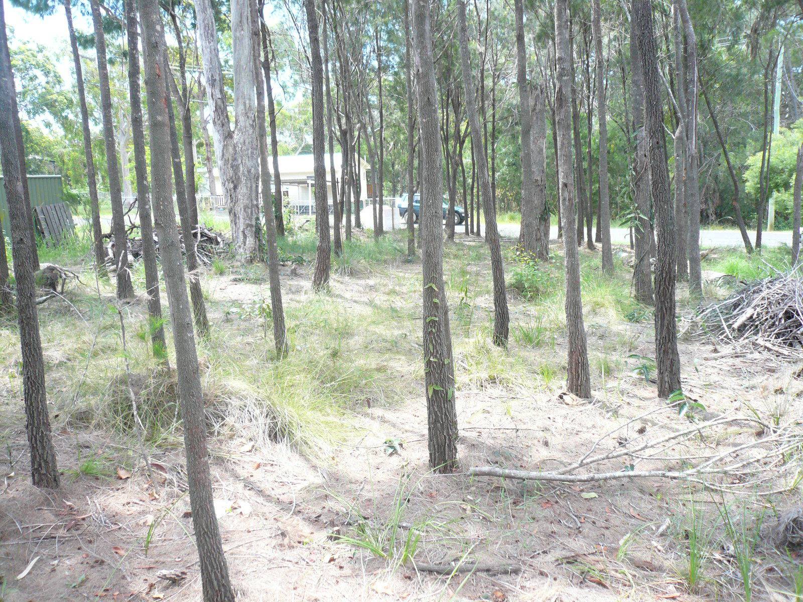 8 Oomool Street, Macleay Island, Macleay Island - Thumbnail 3