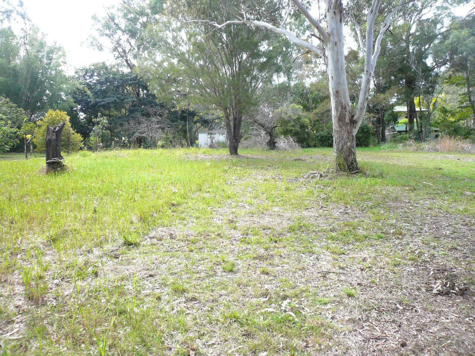 3 Rainbow Avenue, Macleay Island, Macleay Island - Thumbnail 3