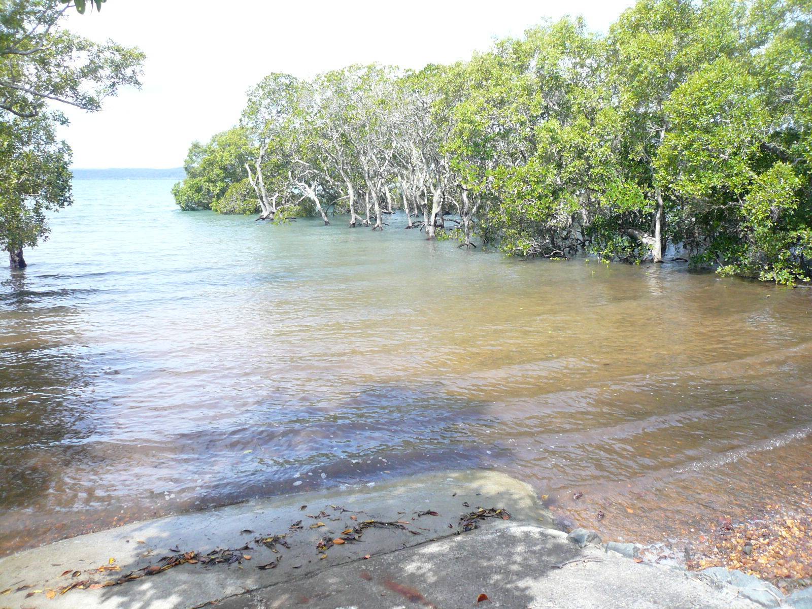35-37 Calm Waters Crescent, Macleay Island, Macleay Island - Thumbnail 4