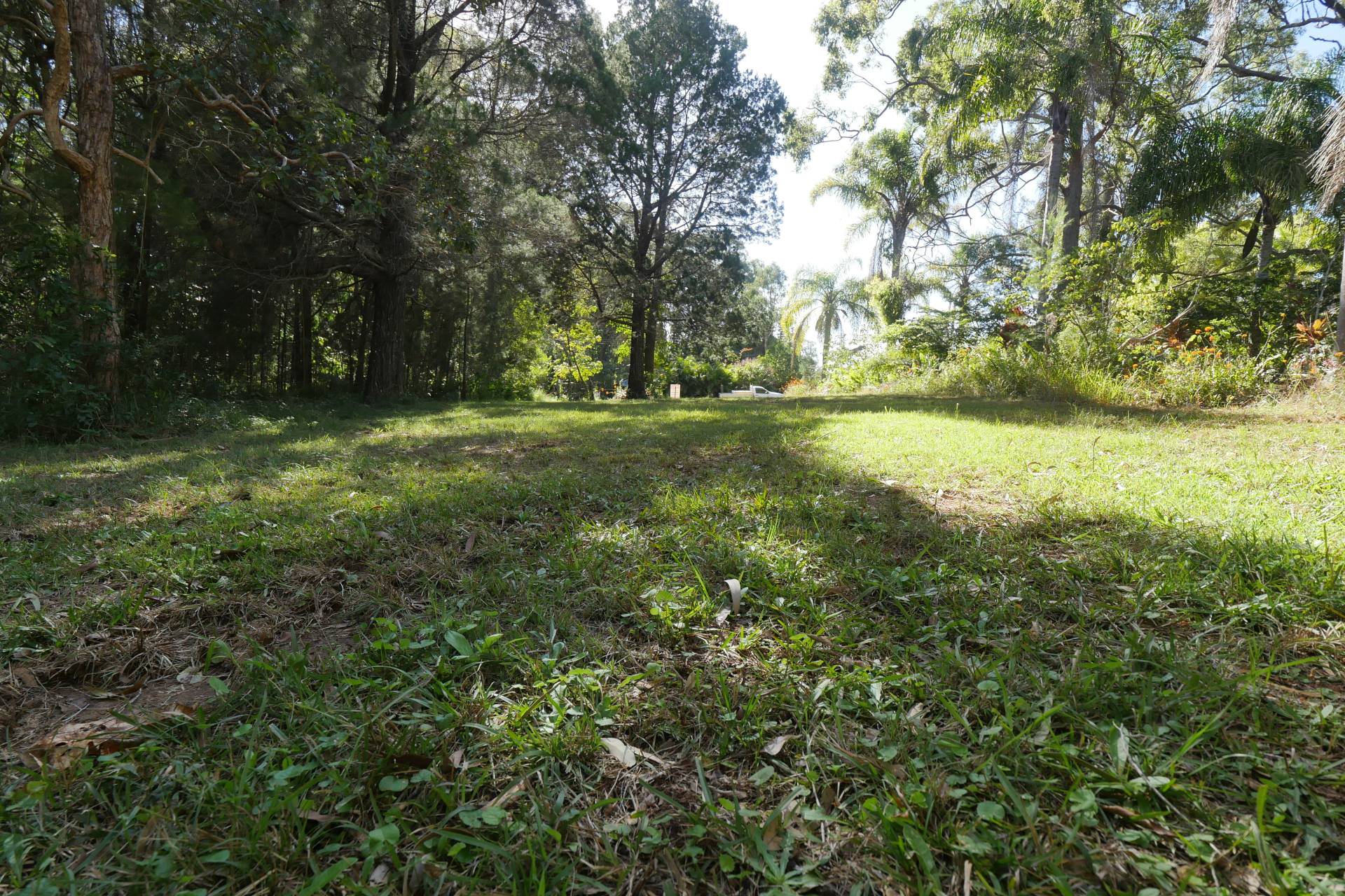 8 Wyena Avenue, Lamb Island, Lamb Island - Thumbnail 7