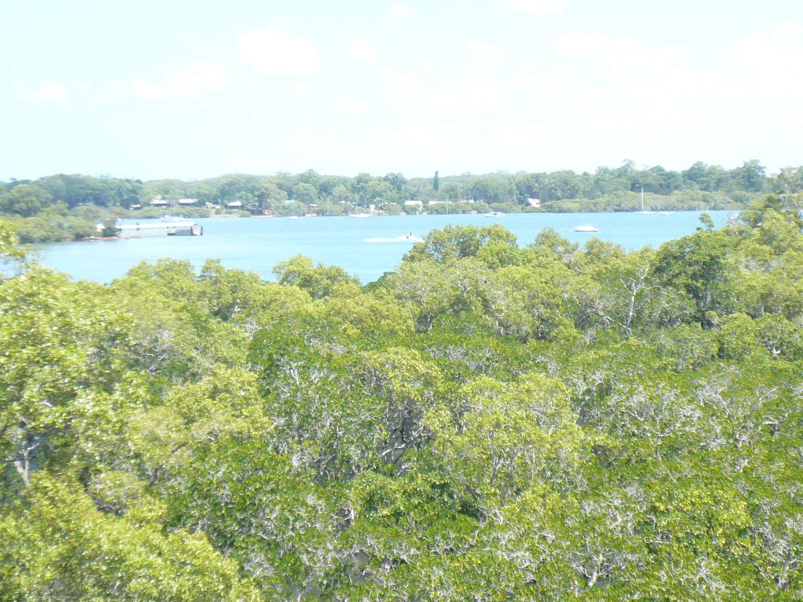 20 Deviot Street, Macleay Island, Macleay Island - Thumbnail 2