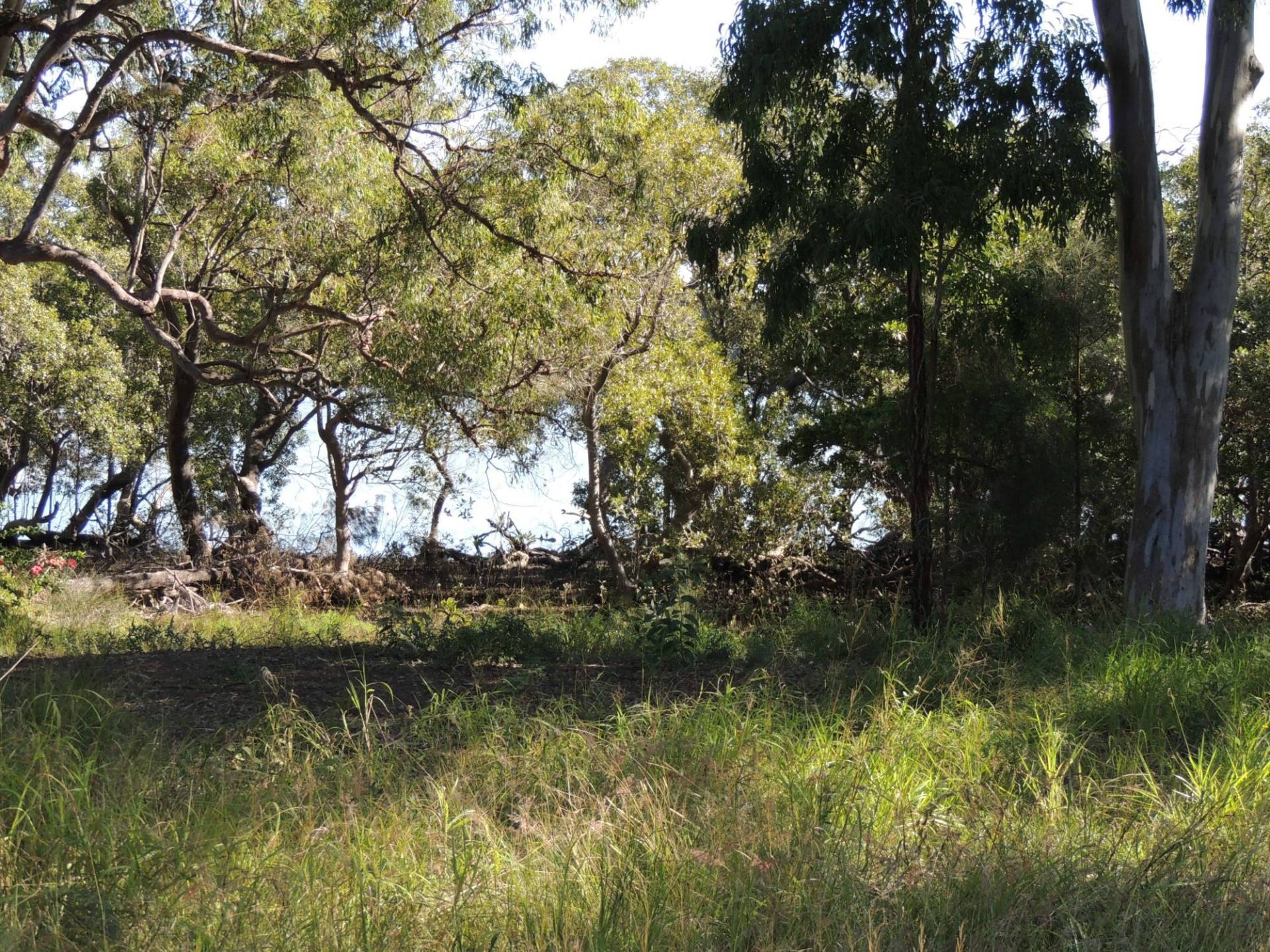 46-48 Calm Waters Crescent, Macleay Island, Macleay Island - Thumbnail 5