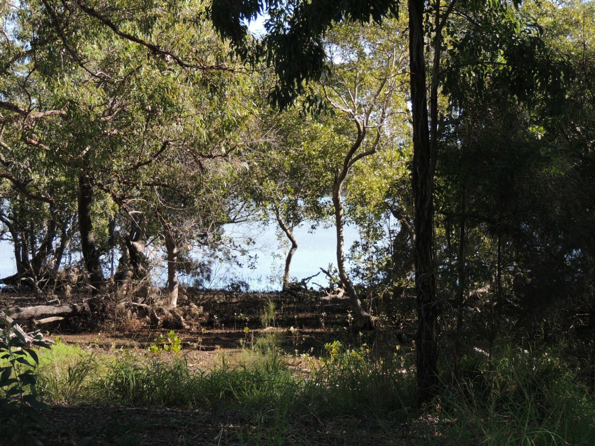 46-48 Calm Waters Crescent, Macleay Island, Macleay Island - Thumbnail 7