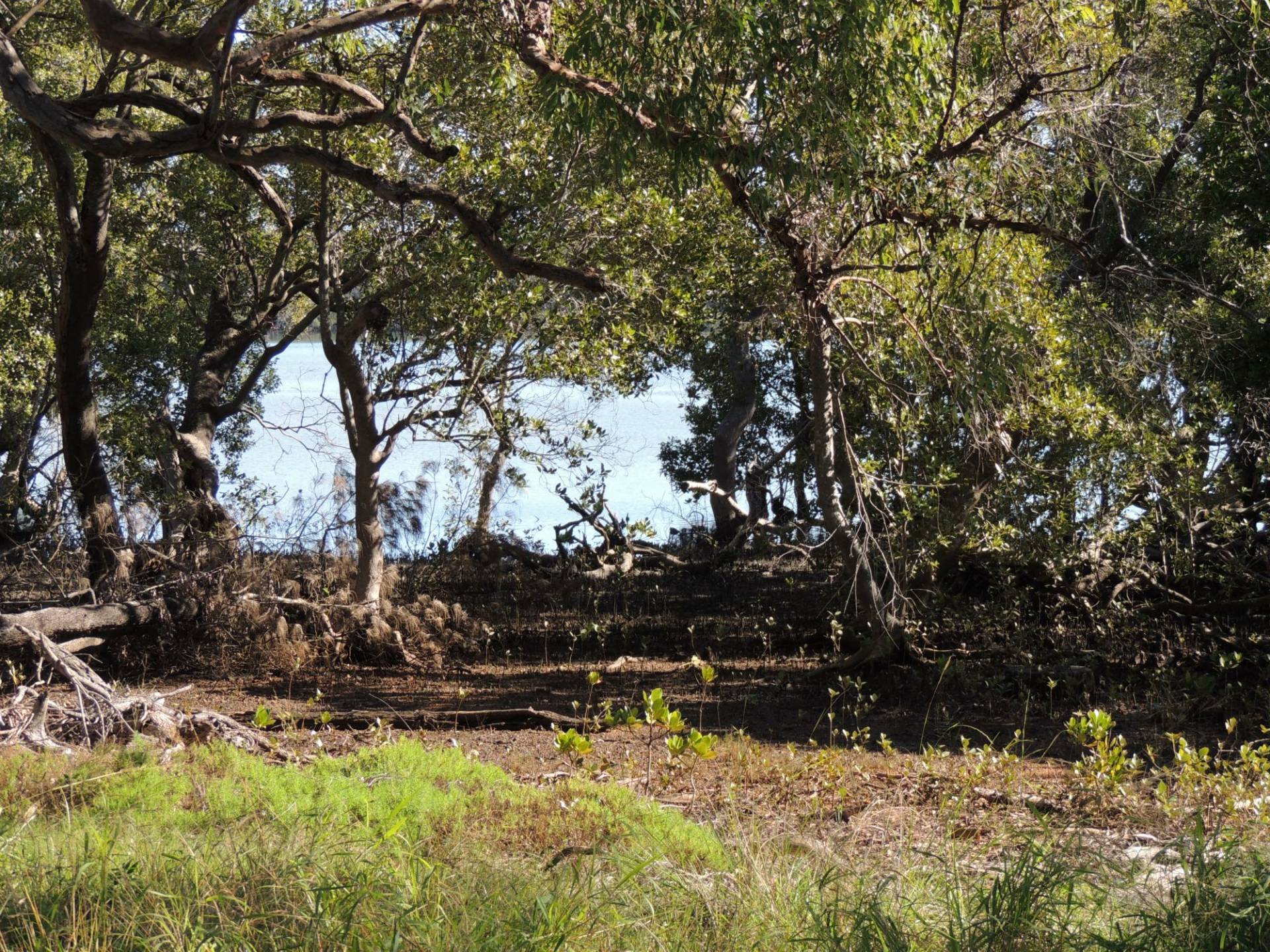 46-48 Calm Waters Crescent, Macleay Island, Macleay Island - Thumbnail 8