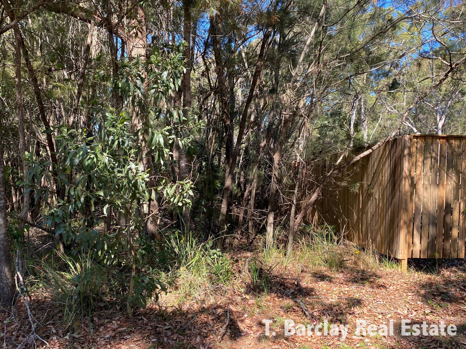 20 Bruce Street, Lamb Island, Lamb Island - Thumbnail 3
