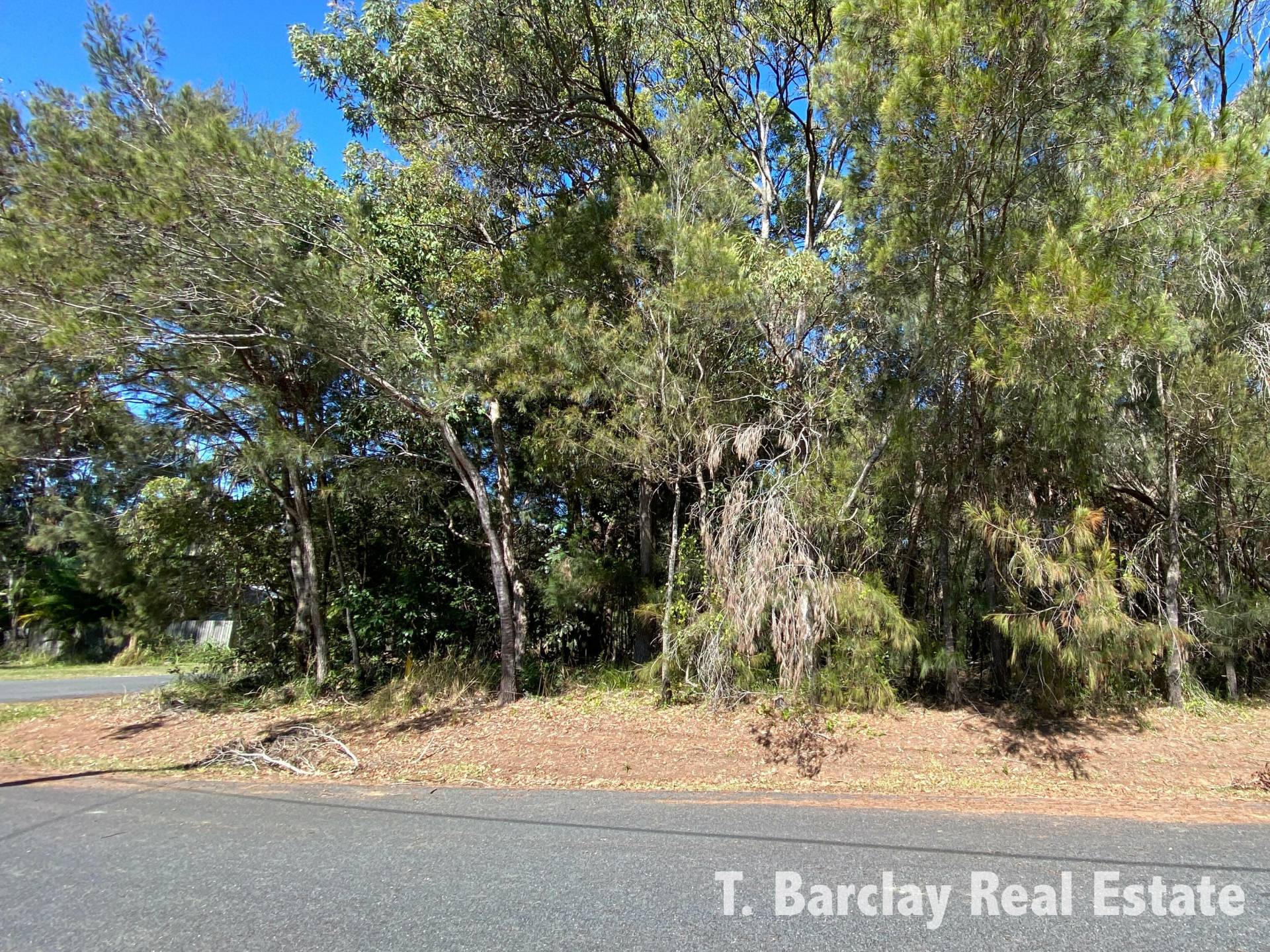 20 Bruce Street, Lamb Island, Lamb Island - Thumbnail 4