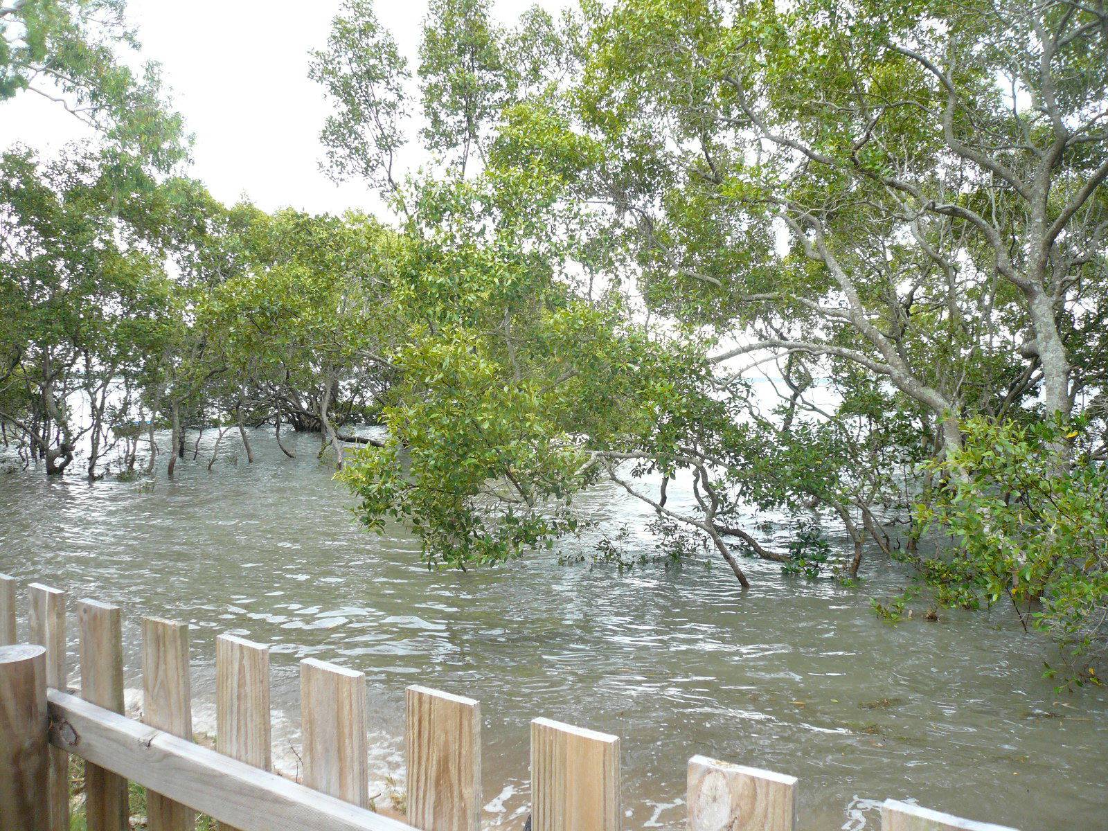 17 Orana Street, Macleay Island - Thumbnail 3