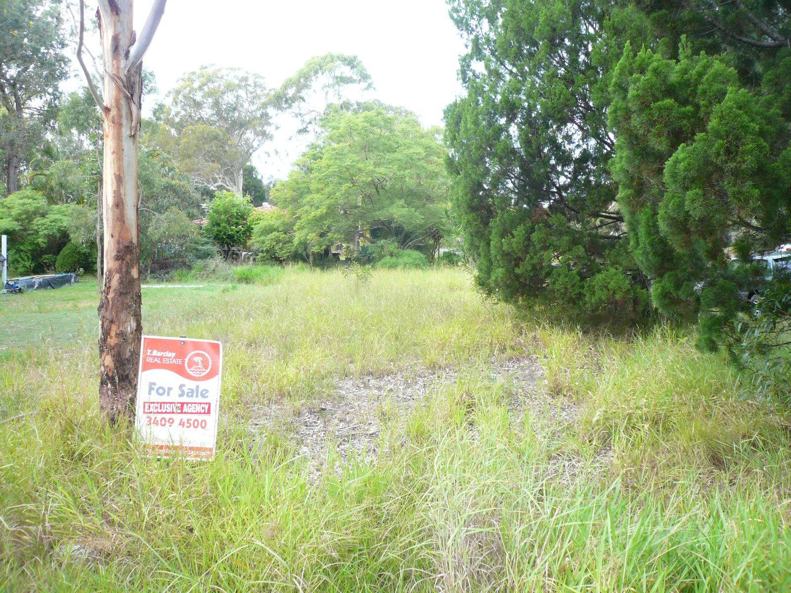 1 Barramundi Street, Macleay Island, Macleay Island - Thumbnail 5