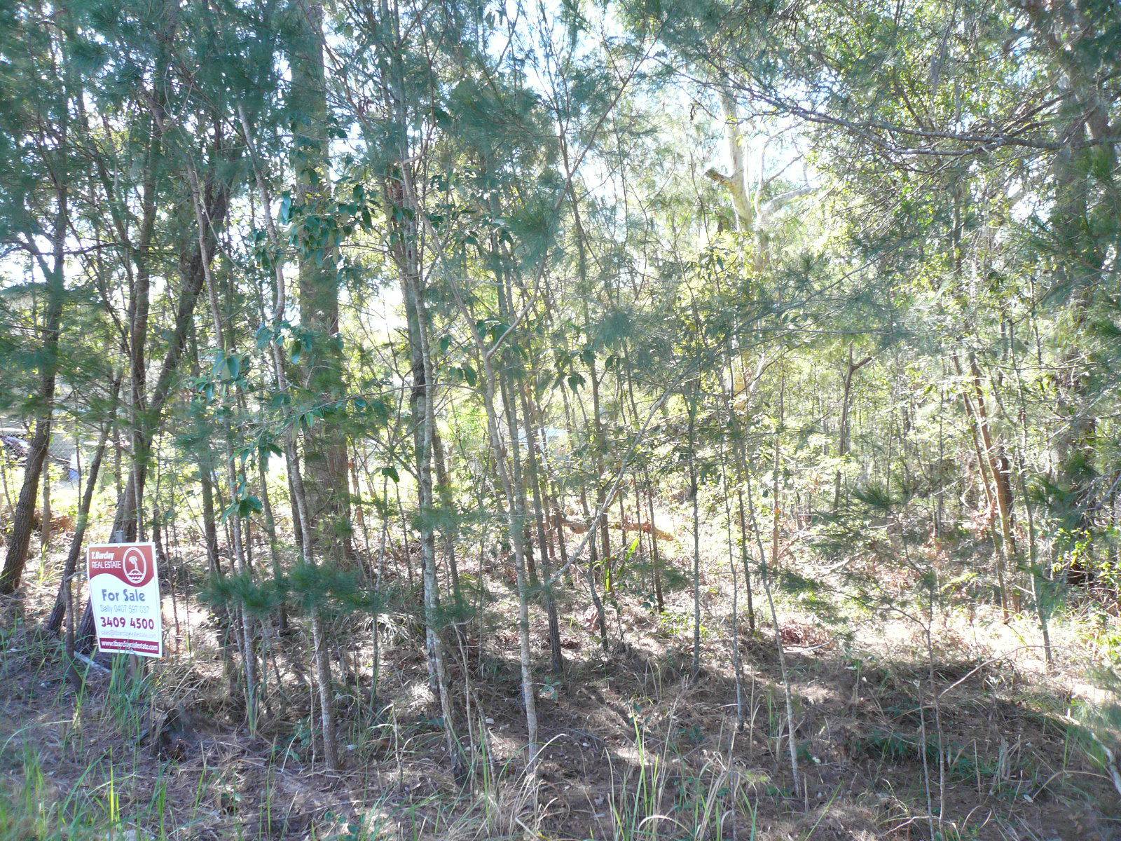 7 Oomool Street, Macleay Island, Macleay Island - Thumbnail 3
