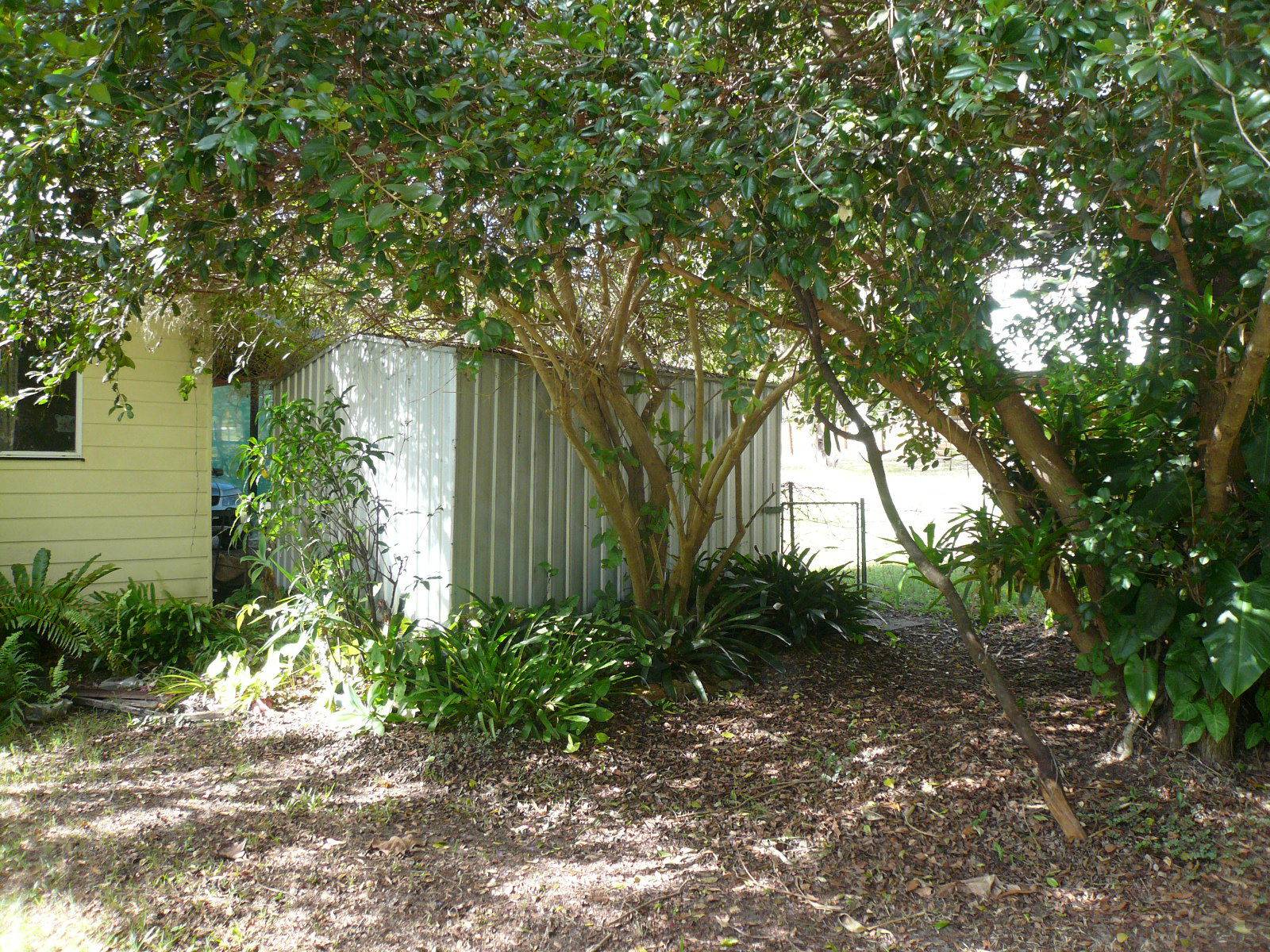4 Benowa Street, Macleay Island, Macleay Island - Thumbnail 5