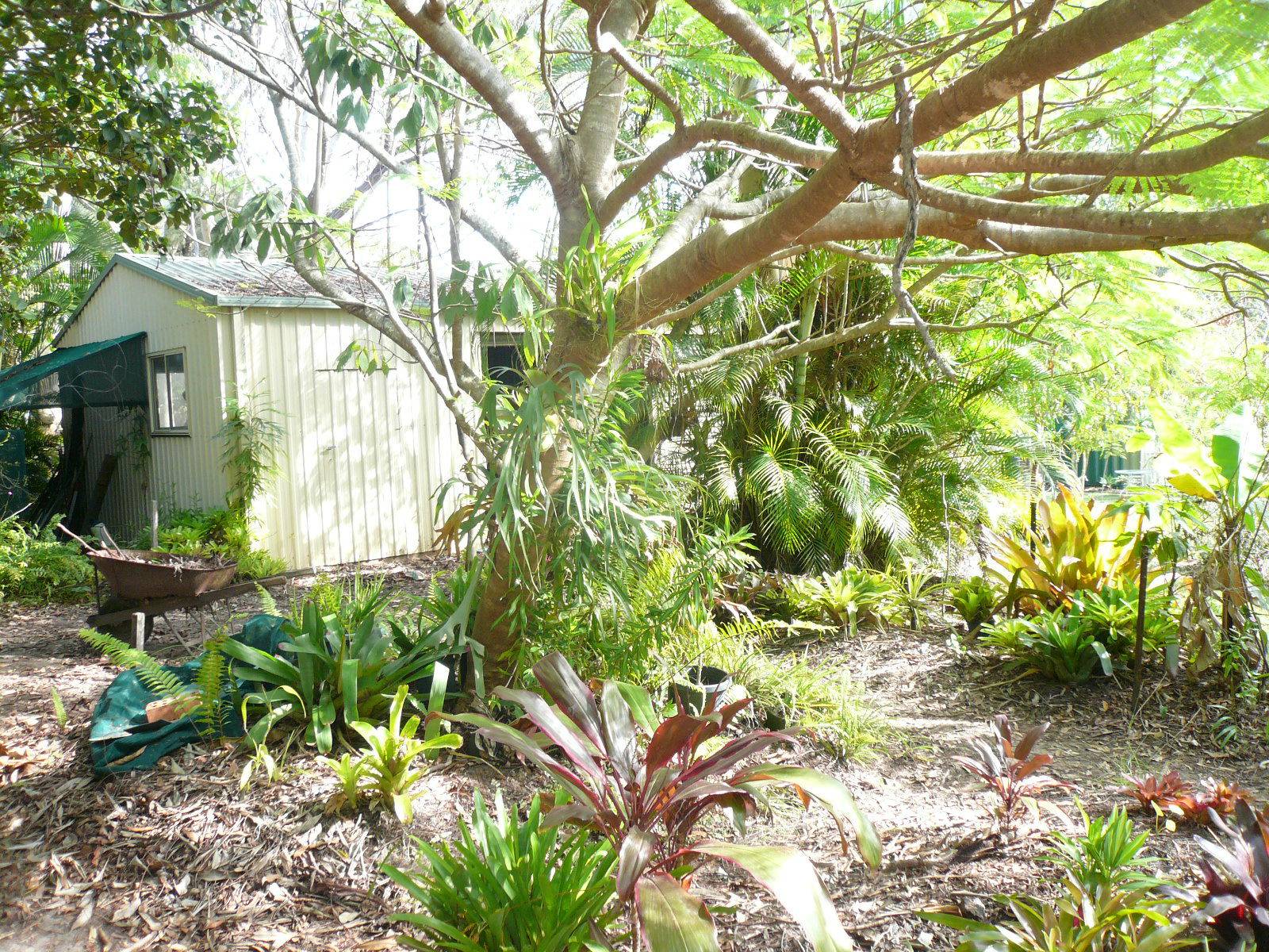 4 Benowa Street, Macleay Island, Macleay Island - Thumbnail 6