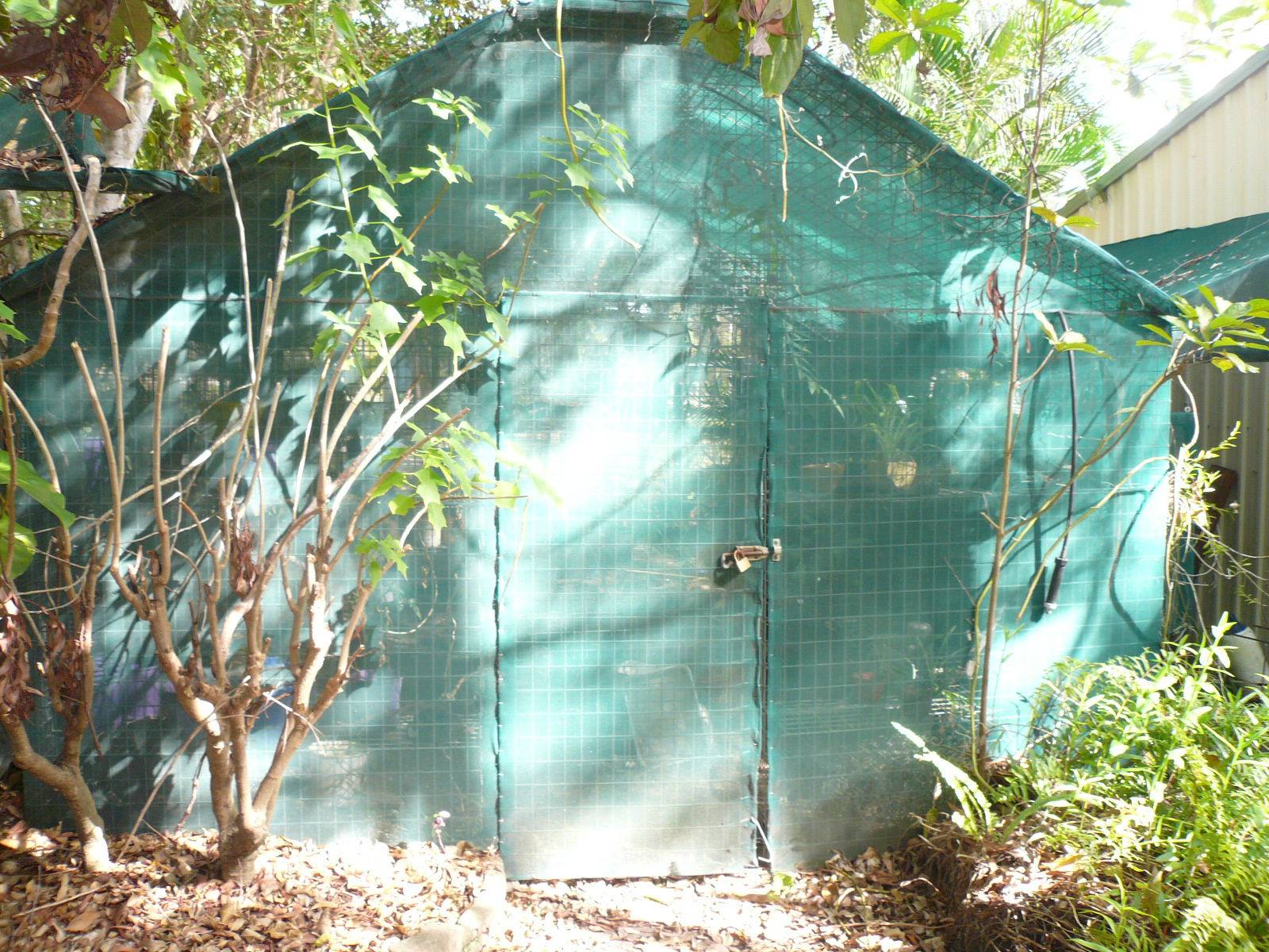 4 Benowa Street, Macleay Island, Macleay Island - Thumbnail 7