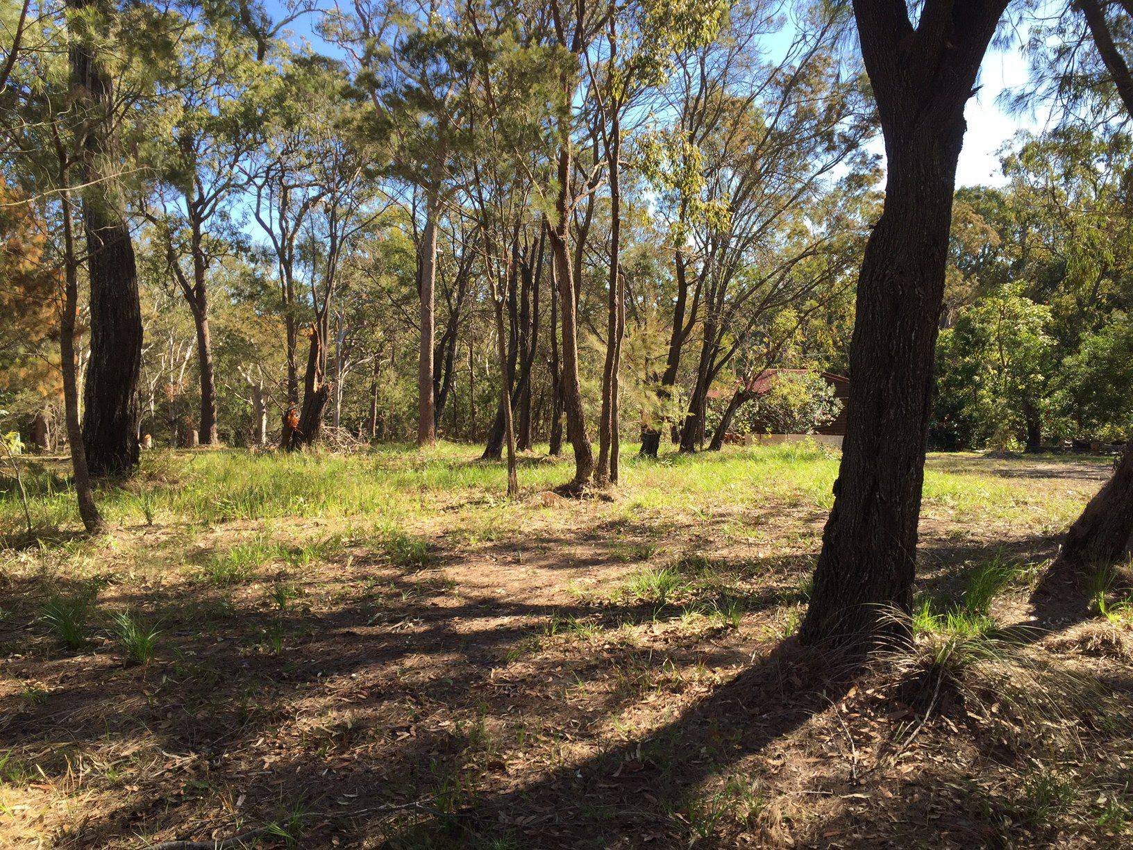 11 Ilya Street, Macleay Island, Macleay Island - Thumbnail 3