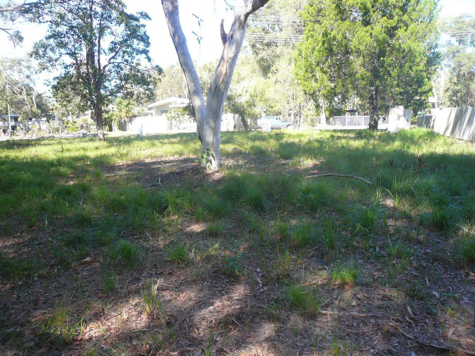 3-5 Dalpura Street, Macleay Island, Macleay Island - Thumbnail 3