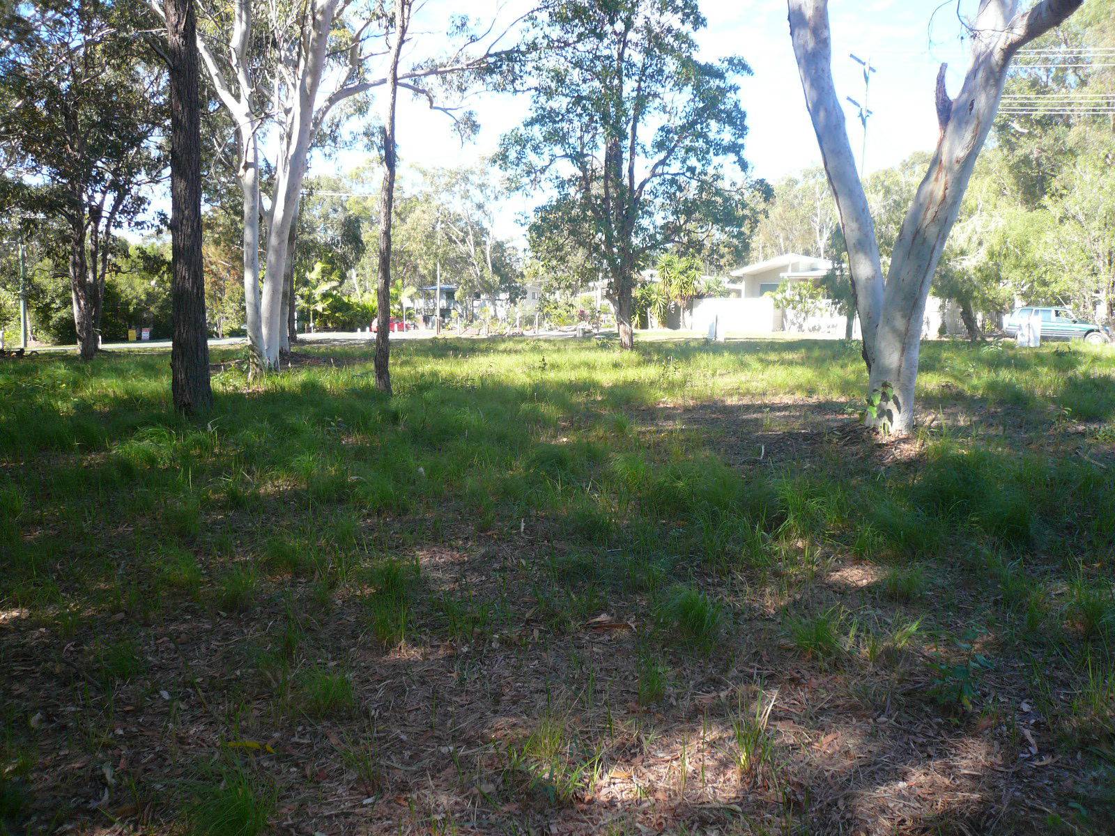 3-5 Dalpura Street, Macleay Island, Macleay Island - Thumbnail 4