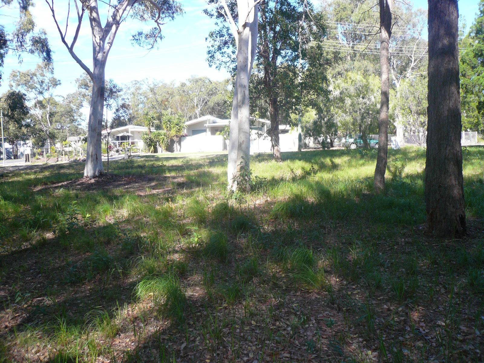 3-5 Dalpura Street, Macleay Island, Macleay Island - Thumbnail 5