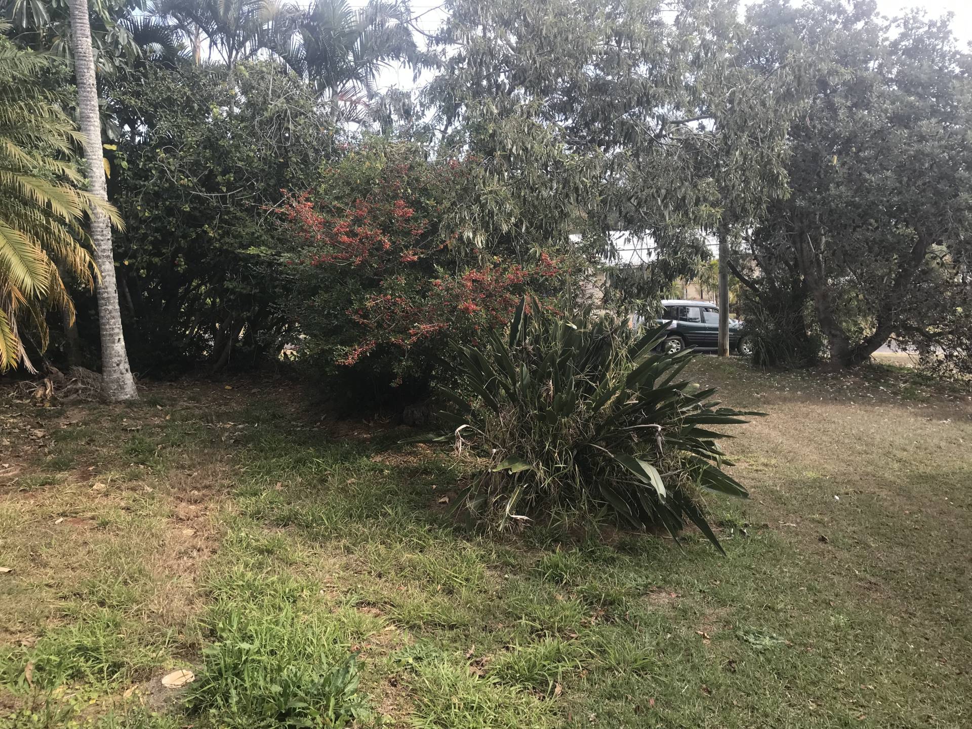 17 Eastbourne Tce, Macleay Island, Macleay Island - Thumbnail 4