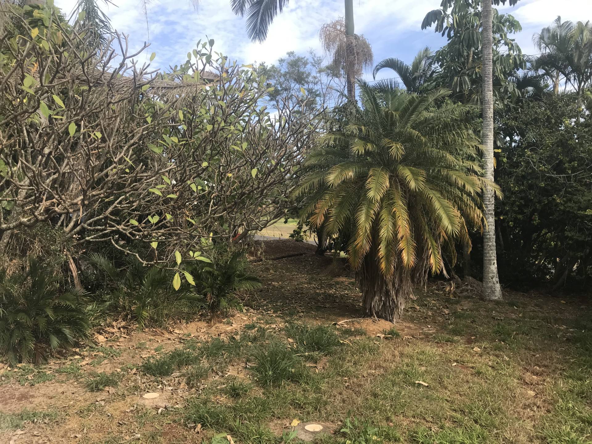 17 Eastbourne Tce, Macleay Island, Macleay Island - Thumbnail 3
