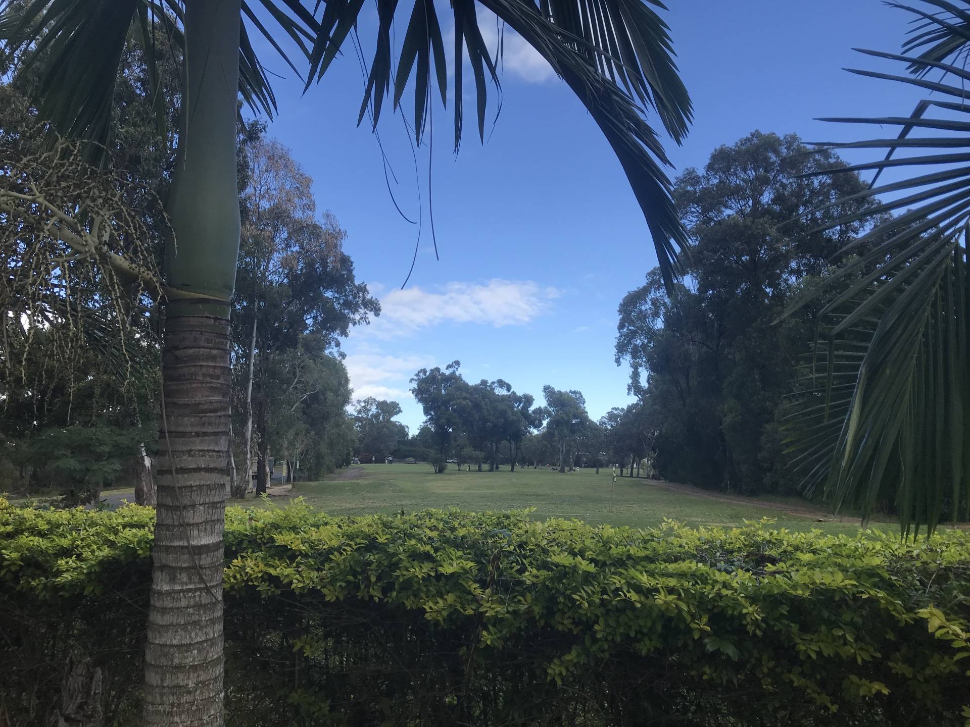 1 Waterside Dr, Macleay Island, Macleay Island - Thumbnail 2