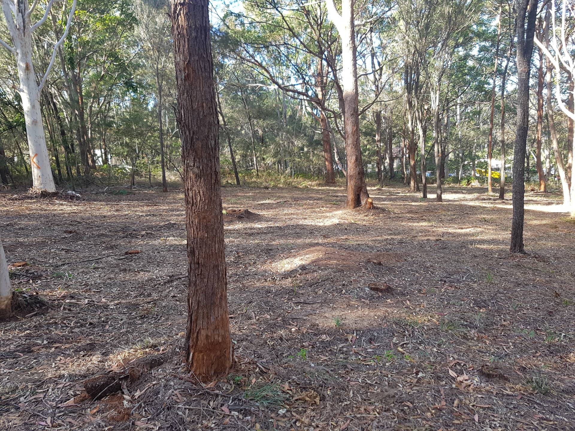 77 Hacking Ridge Rd, Russell Island, Russell Island - Thumbnail 2