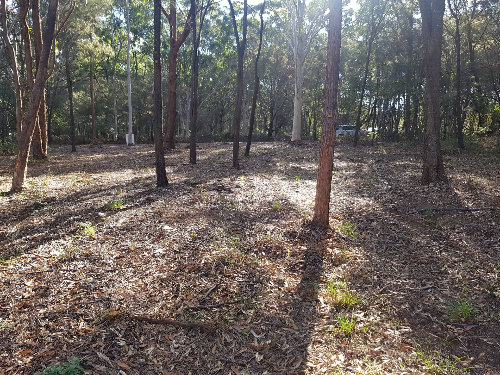 77 Hacking Ridge Rd, Russell Island, Russell Island - Thumbnail 5