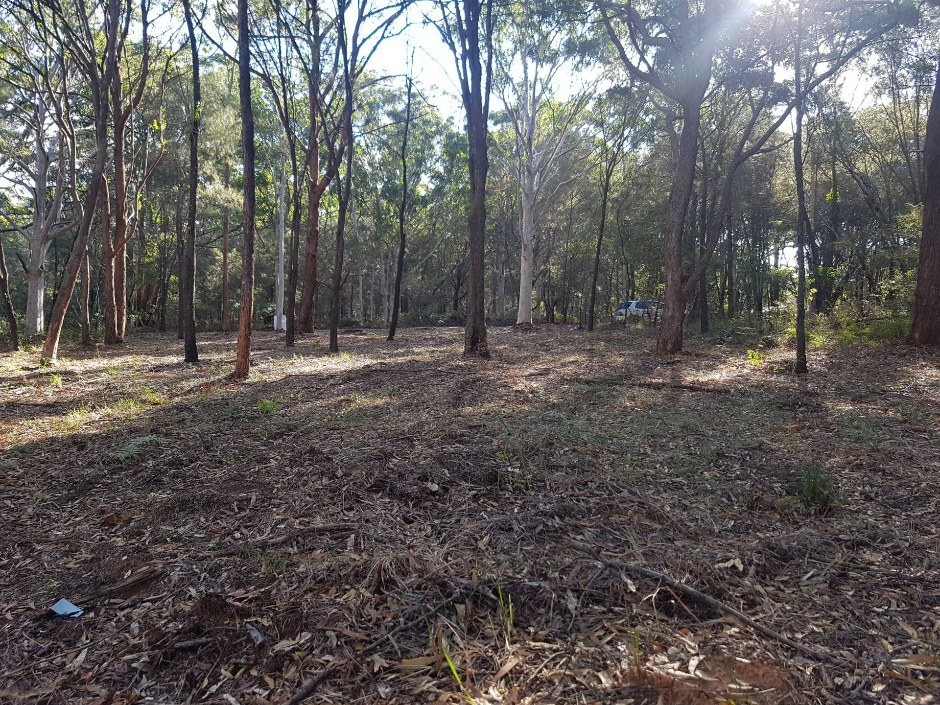 77 Hacking Ridge Rd, Russell Island, Russell Island - Thumbnail 6