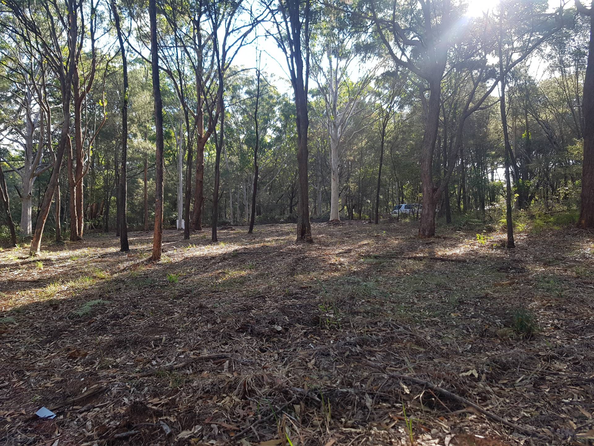 77 Hacking Ridge Rd, Russell Island, Russell Island - Thumbnail 7