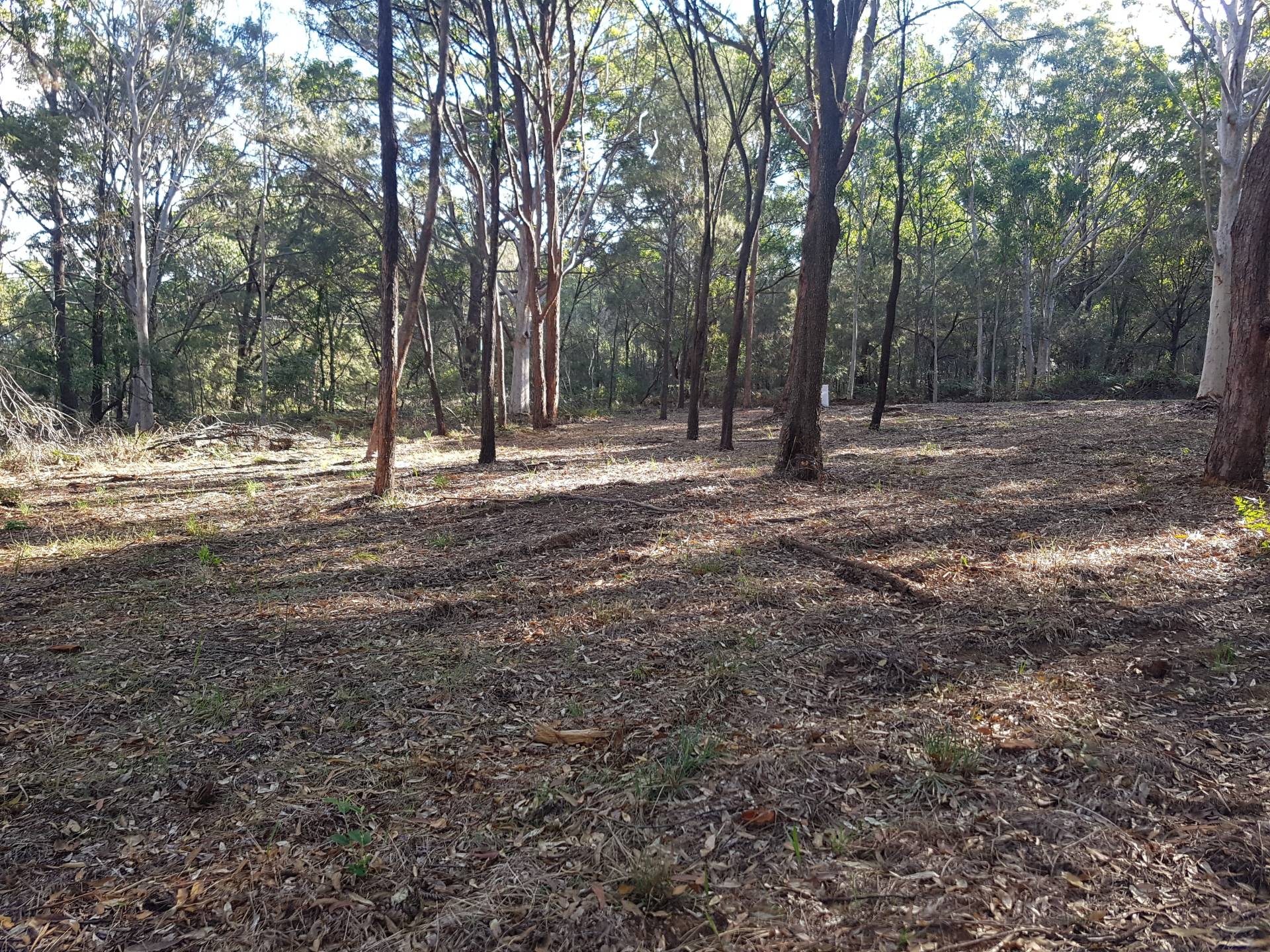 77 Hacking Ridge Rd, Russell Island, Russell Island - Thumbnail 8