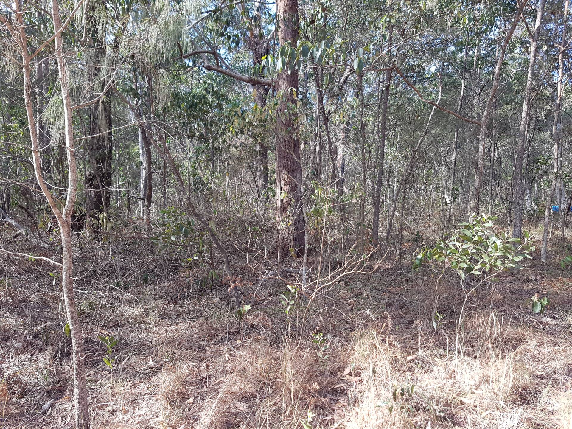 31 Waikiki Beach Rd, Russell Island, Russell Island - Thumbnail 6