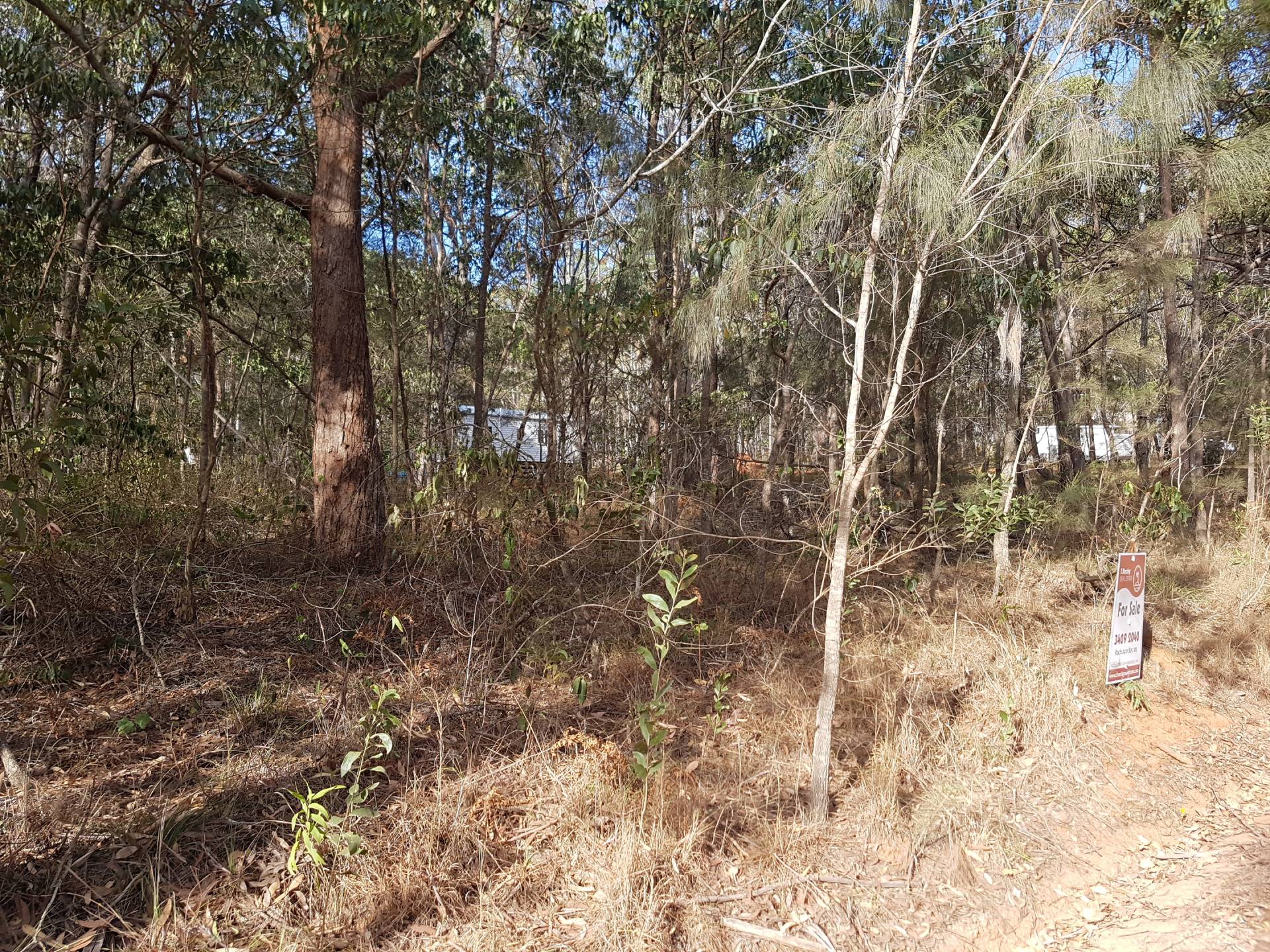 31 Waikiki Beach Rd, Russell Island, Russell Island - Thumbnail 7