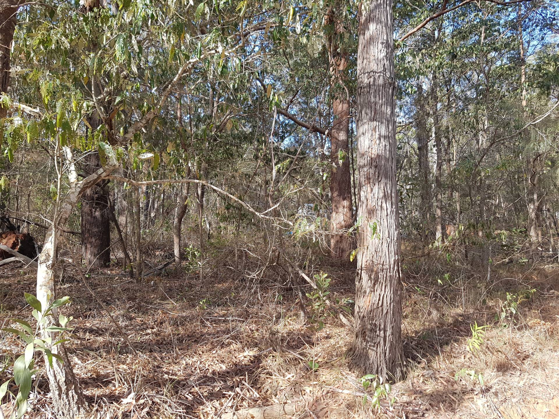 31 Waikiki Beach Rd, Russell Island, Russell Island - Thumbnail 8