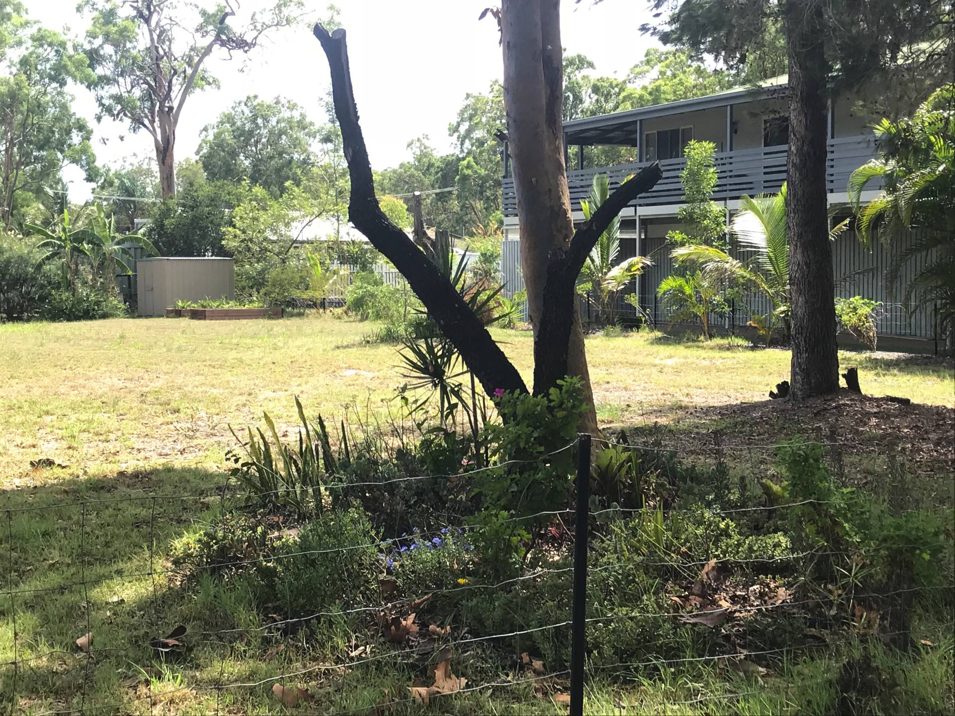 21 Wanda St, Macleay Island, Macleay Island - Thumbnail 3