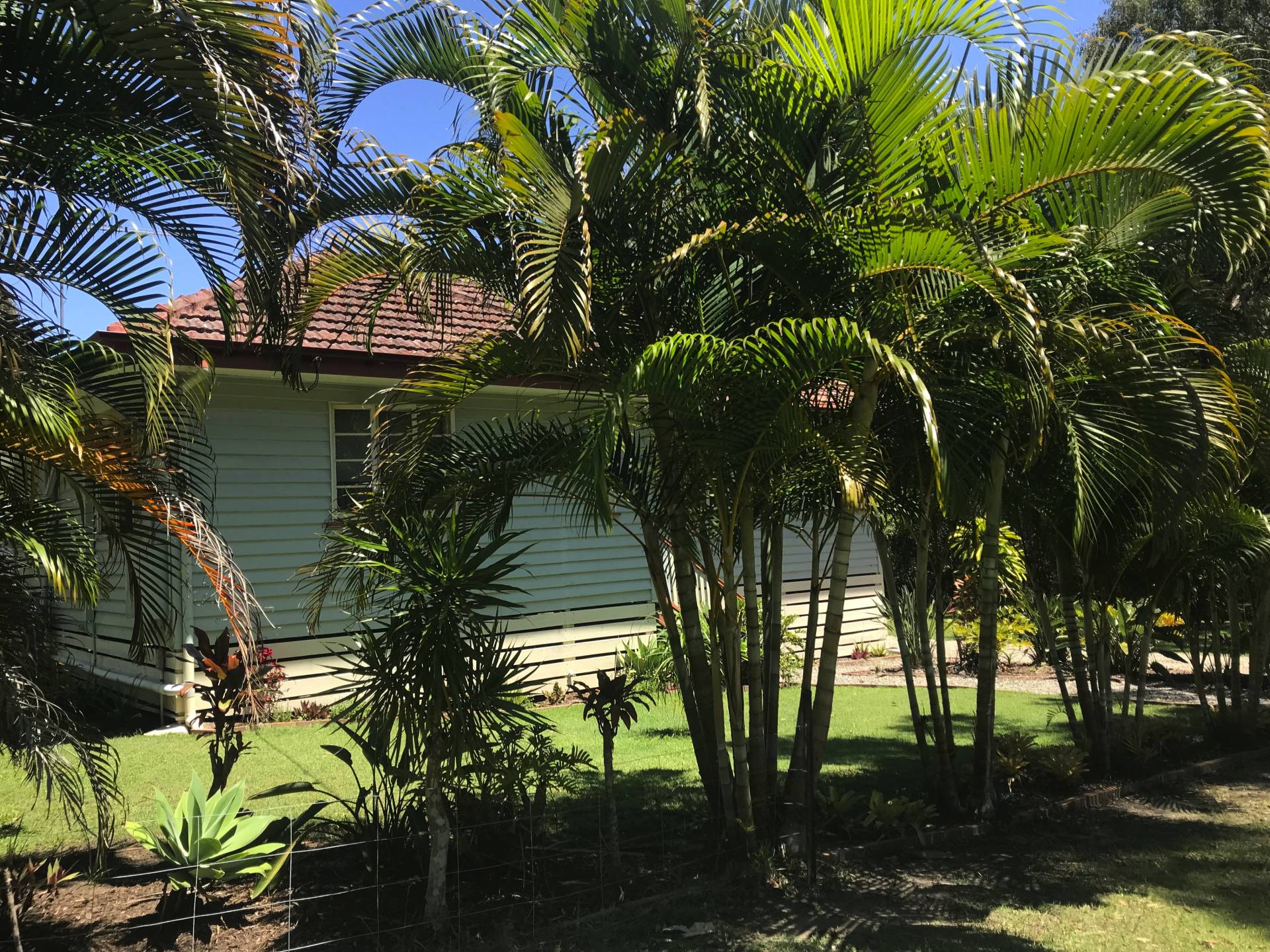 6 Benowa St, Macleay Island, Macleay Island - Thumbnail 5