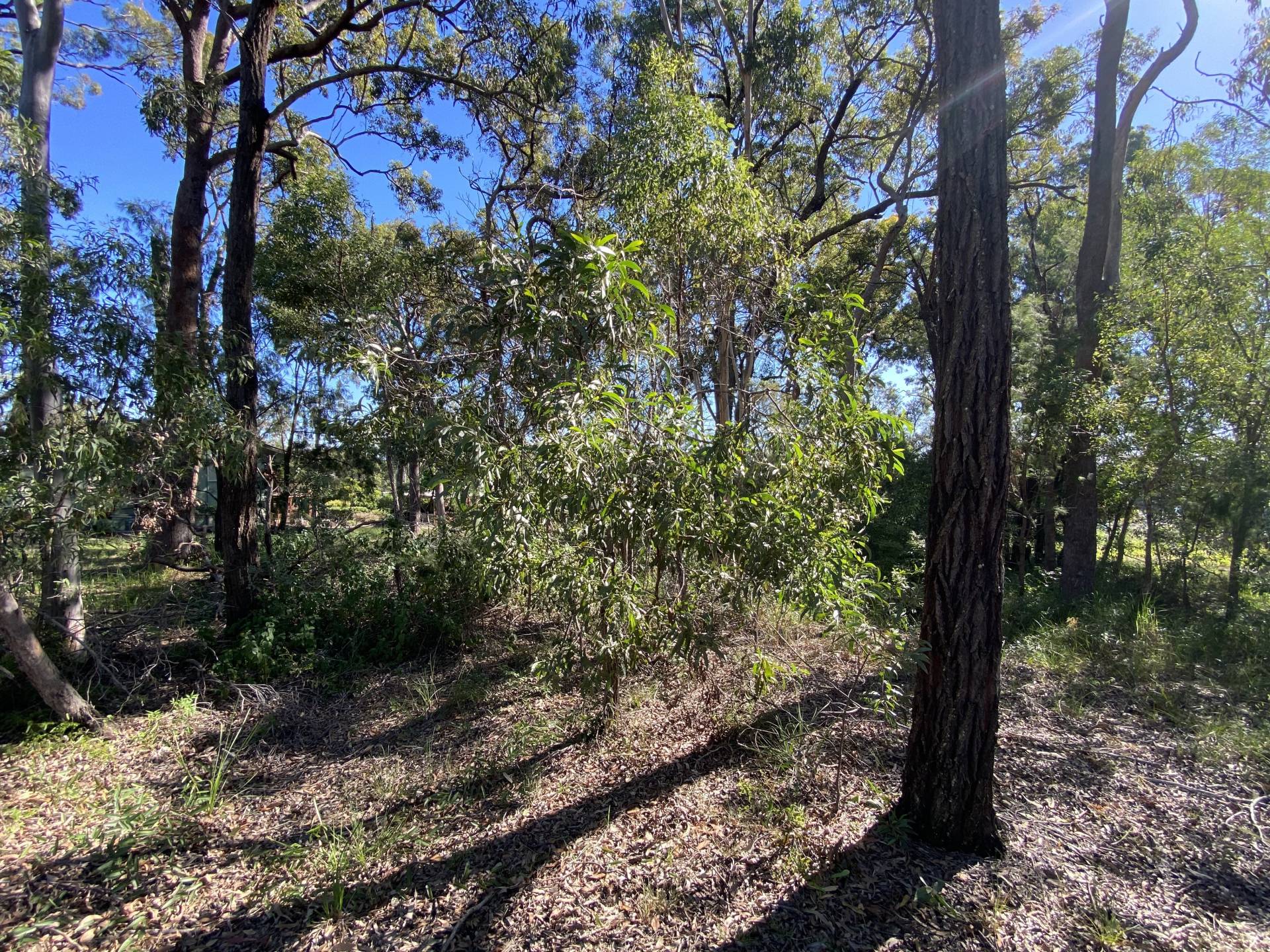 175 Kate St, Macleay Island, Macleay Island - Thumbnail 2