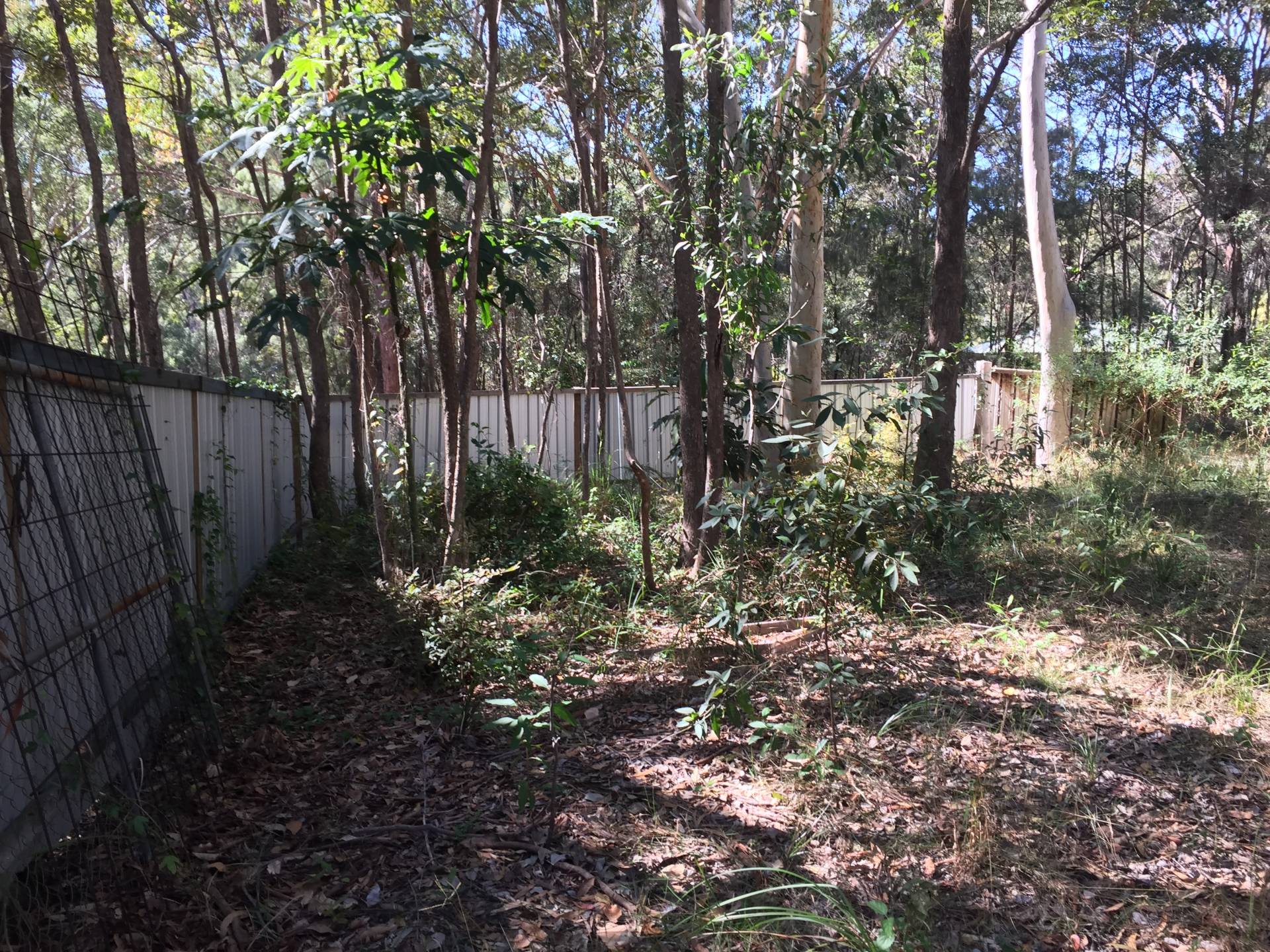 14 Villa Wood Rd, Russell Island, Russell Island - Thumbnail 8