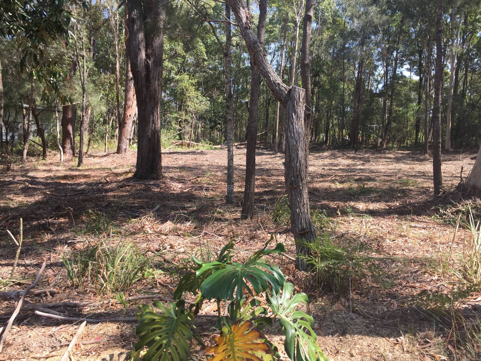 12 Hunters Rd, Russell Island, Russell Island - Thumbnail 3