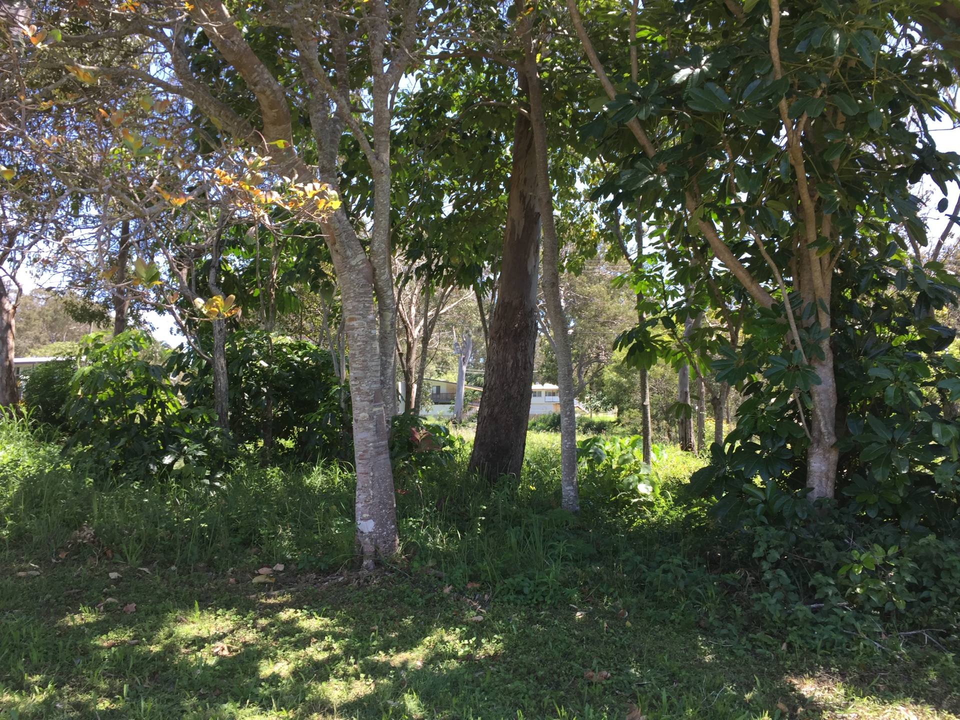 104 Canaipa Point Dr, Russell Island, Russell Island - Thumbnail 5