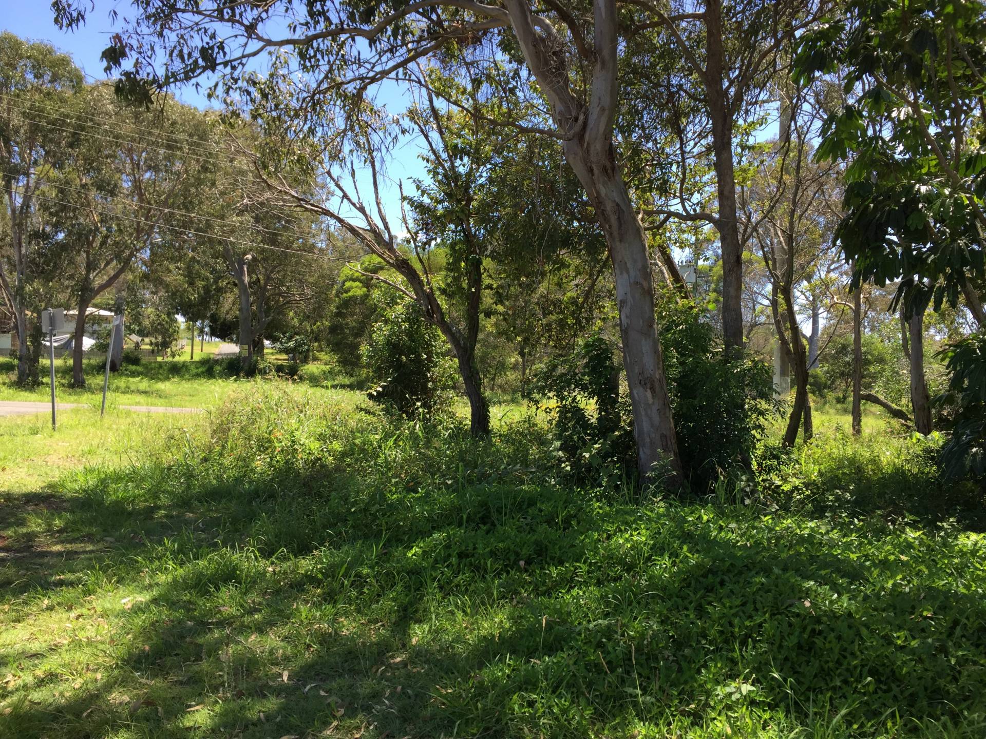 104 Canaipa Point Dr, Russell Island, Russell Island - Thumbnail 6