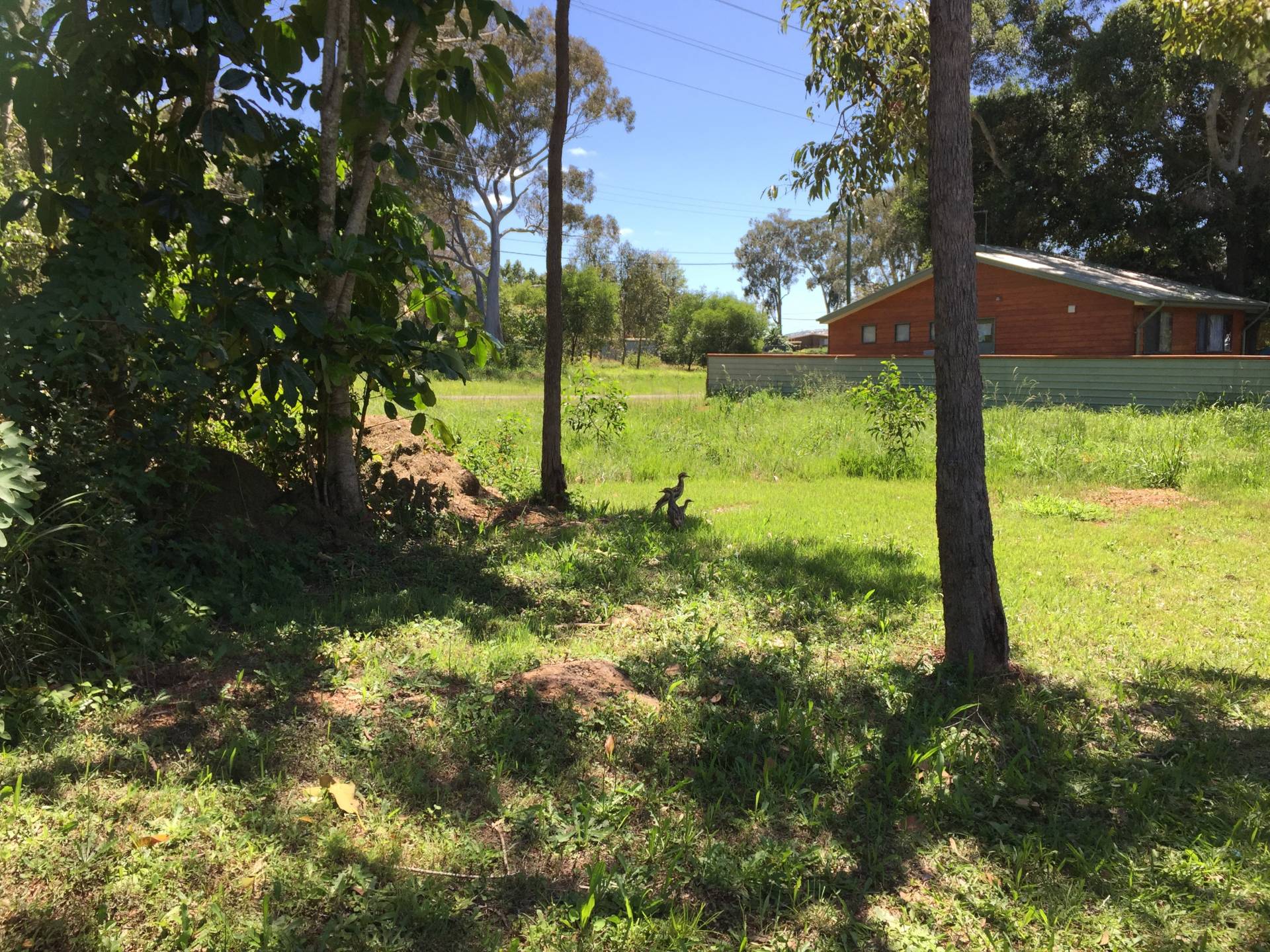 104 Canaipa Point Dr, Russell Island, Russell Island - Thumbnail 2