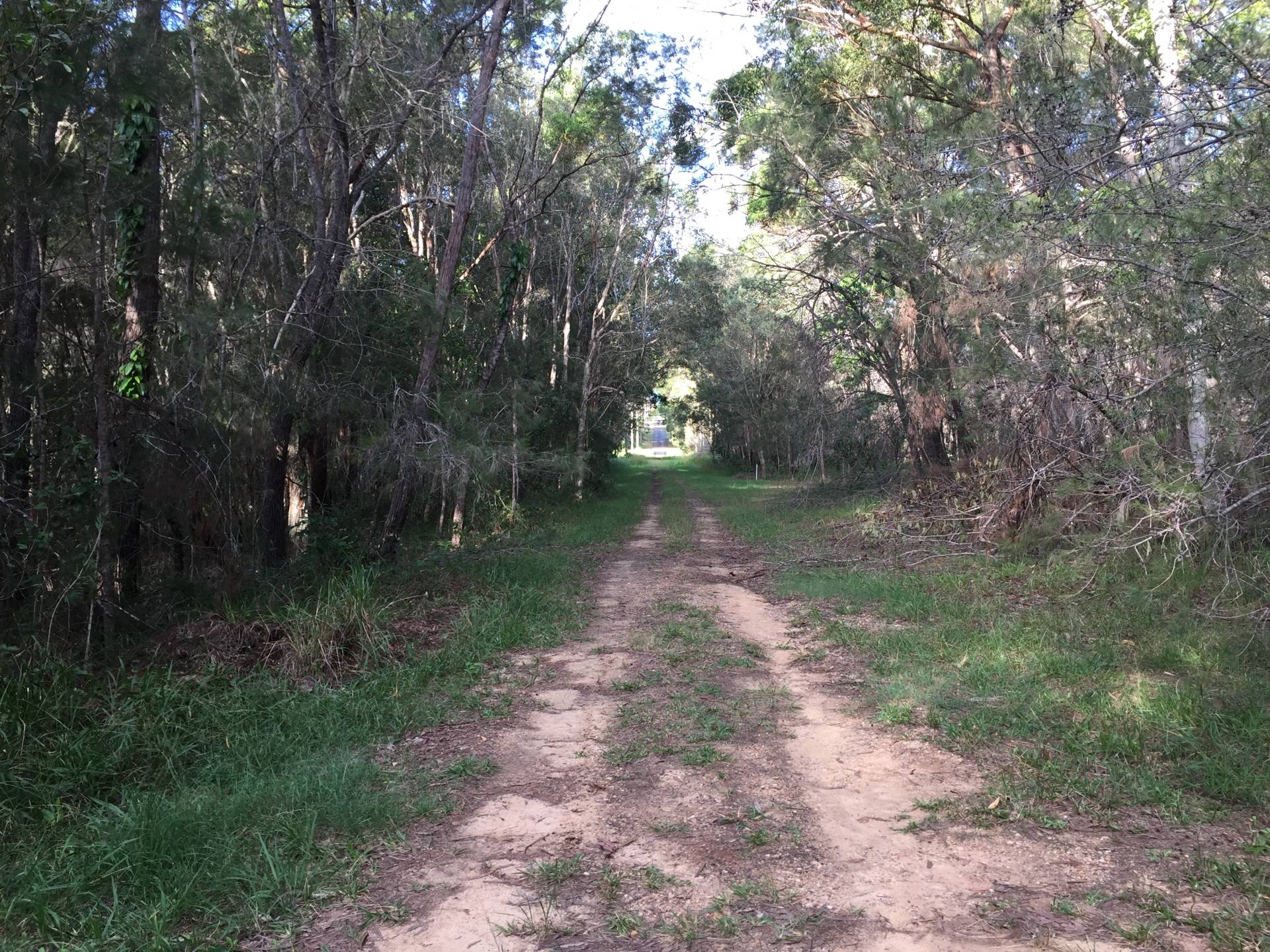 12, Avera Road, Russell Island, Russell Island - Thumbnail 4