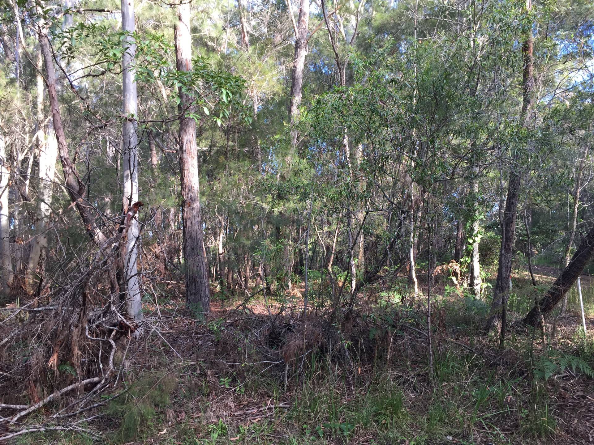 12, Avera Road, Russell Island, Russell Island - Thumbnail 5